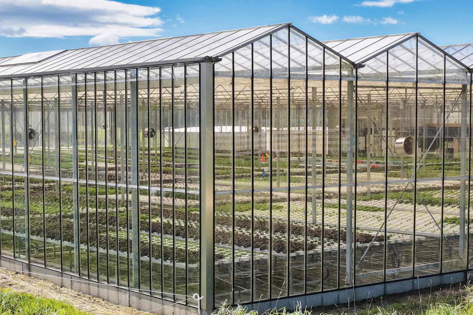 Lot 2 Frankford Road, Thirlstane, TAS, 7307 - Image 8