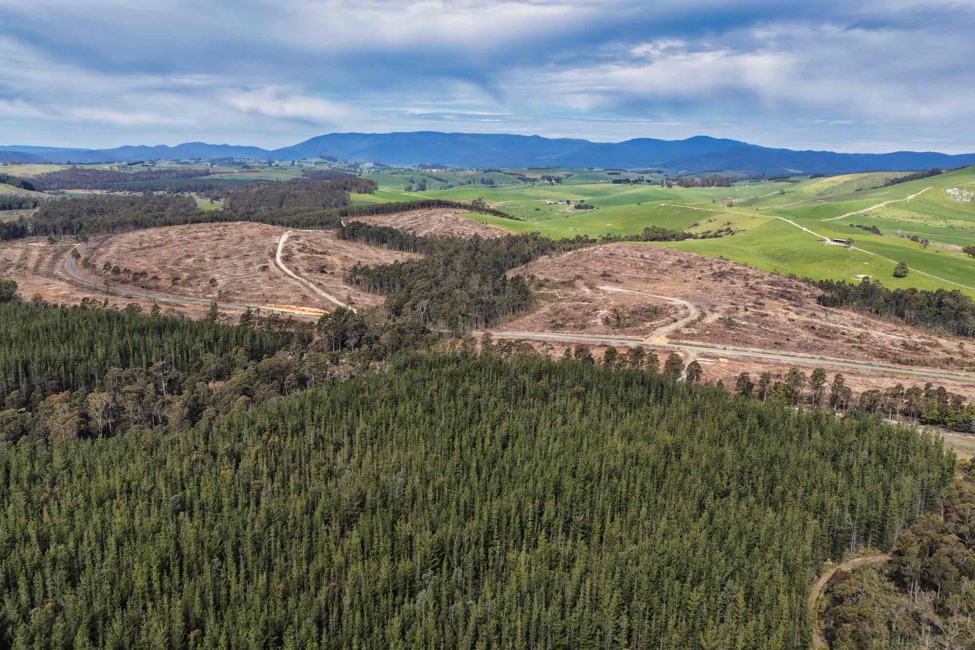 Golconda Road, Lietinna, TAS, 7260 - Image 3