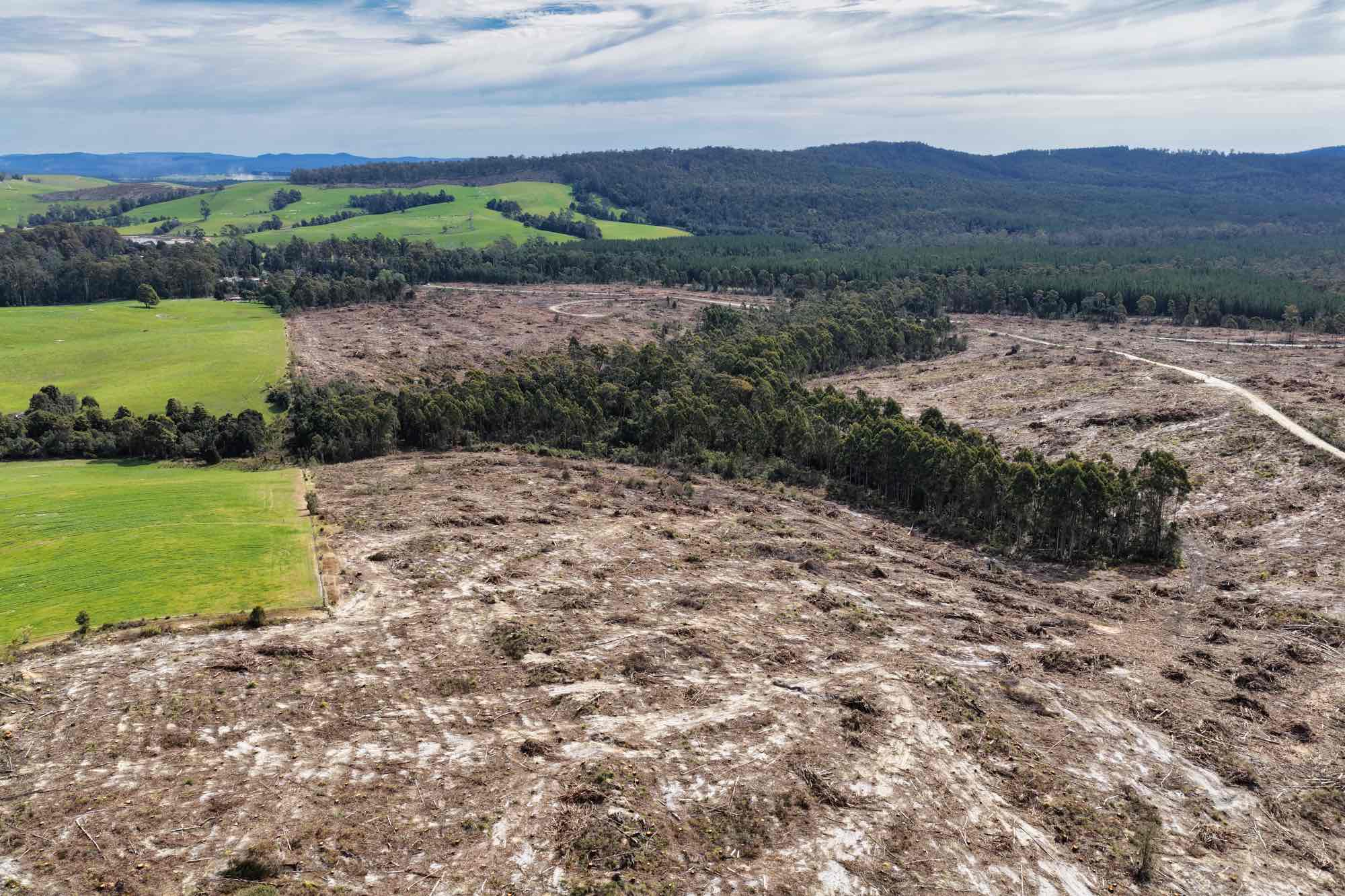 Golconda Road, Lietinna, TAS, 7260 - Image 2