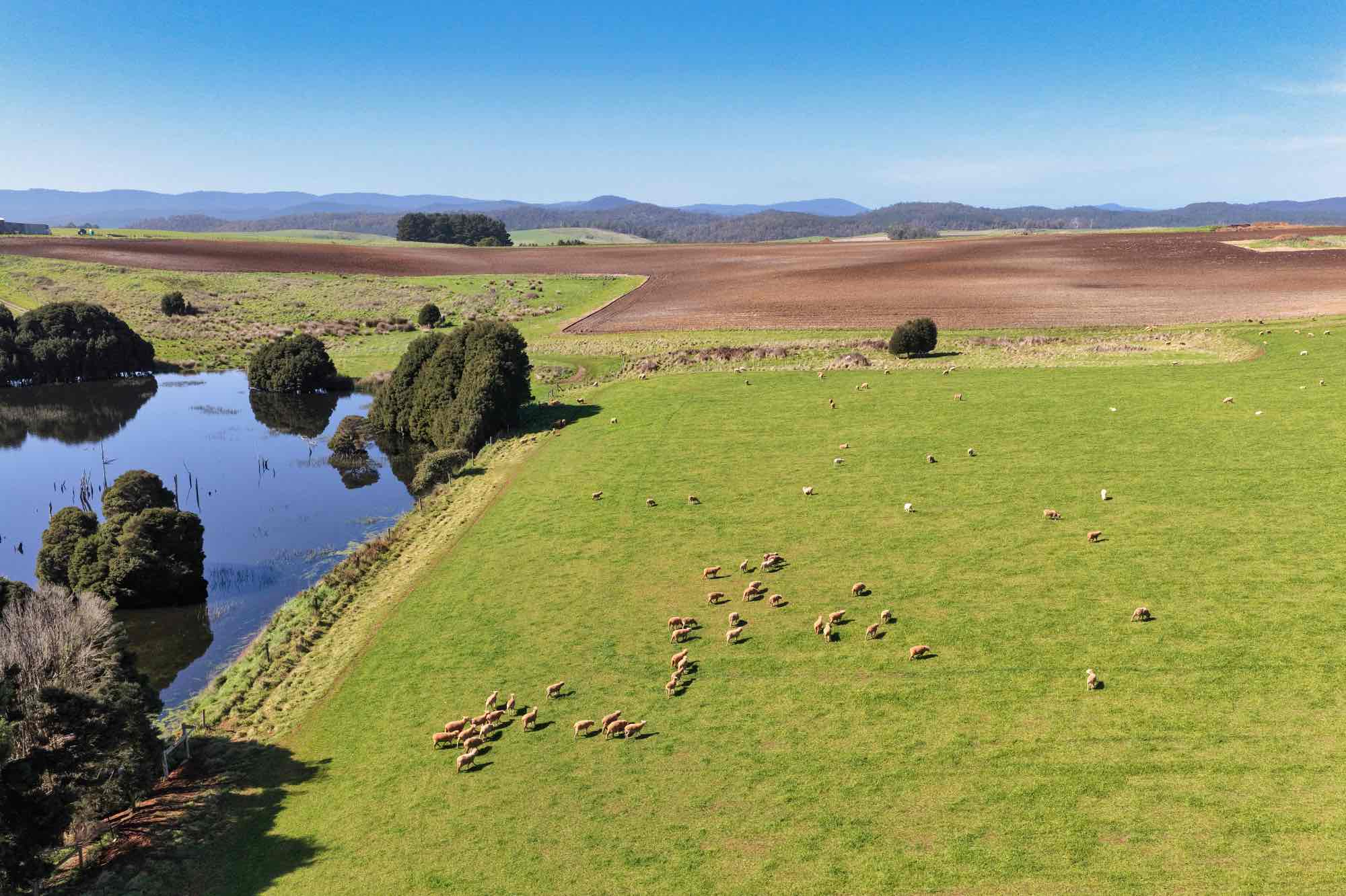 580 Chapel Road, Sassafras, TAS, 7307 - Image 24