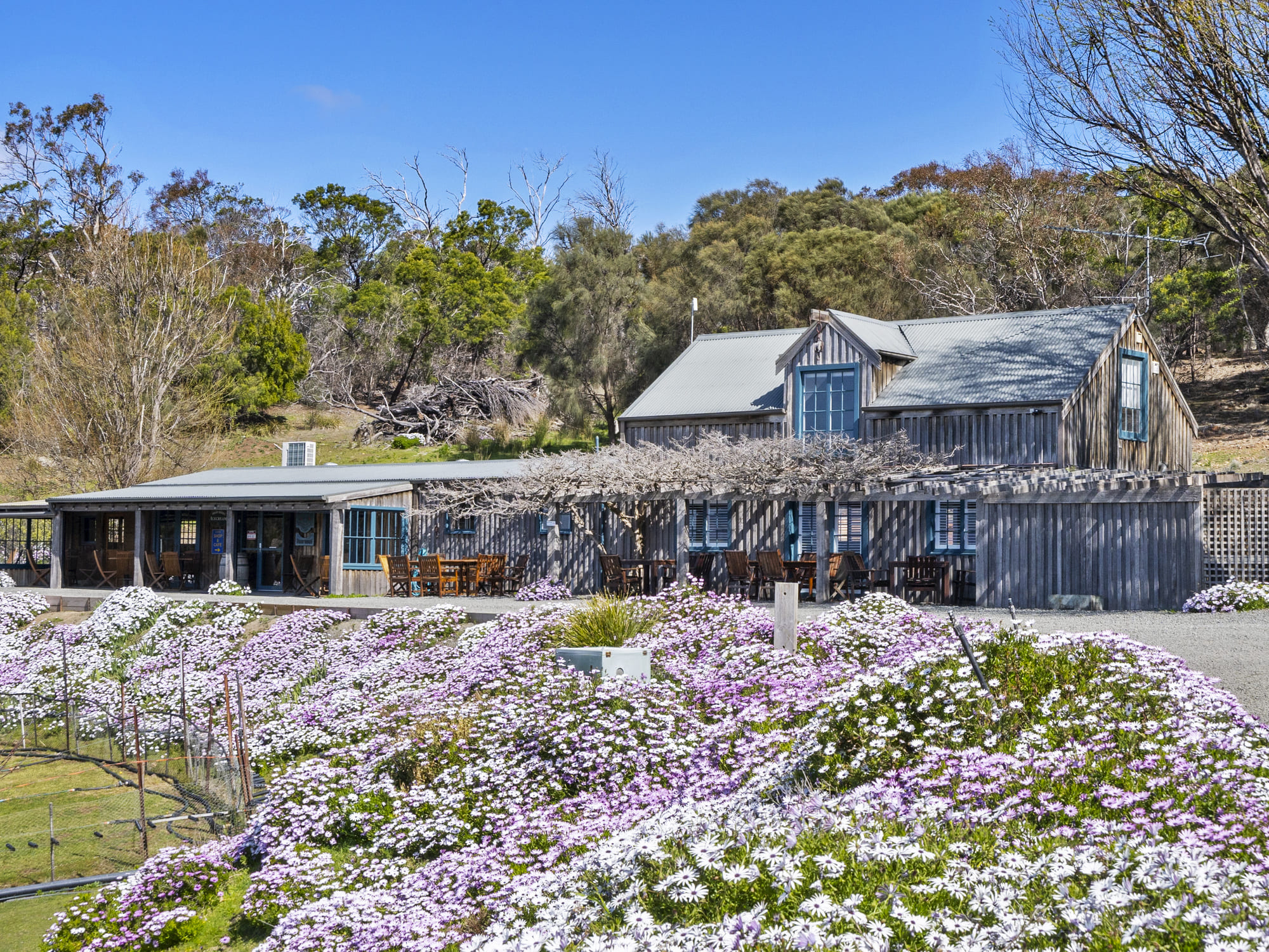 12 Addison Street, Swansea, TAS, 7190 - Image 4