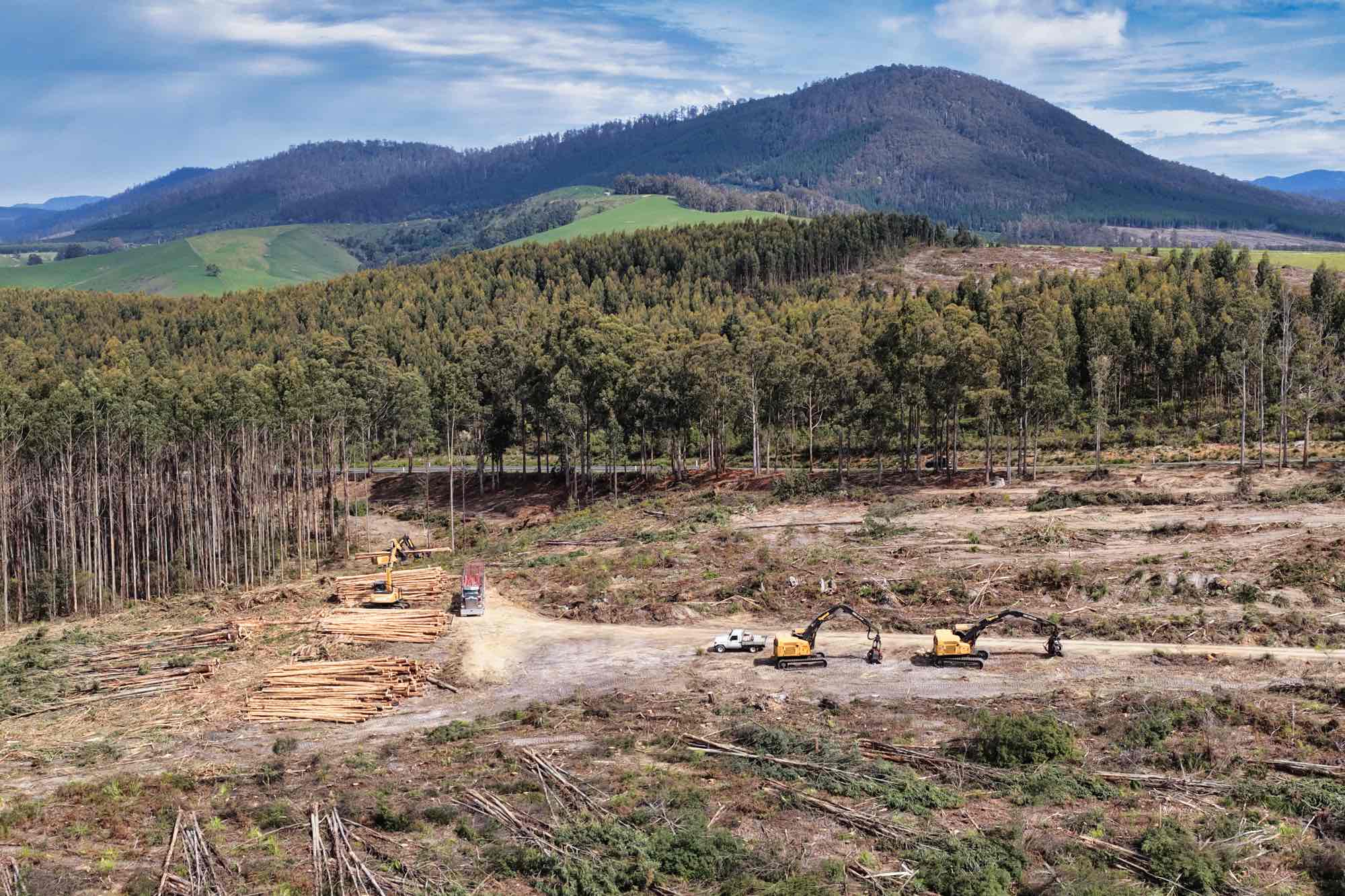 Golconda Road, Lietinna, TAS, 7260 - Image 4