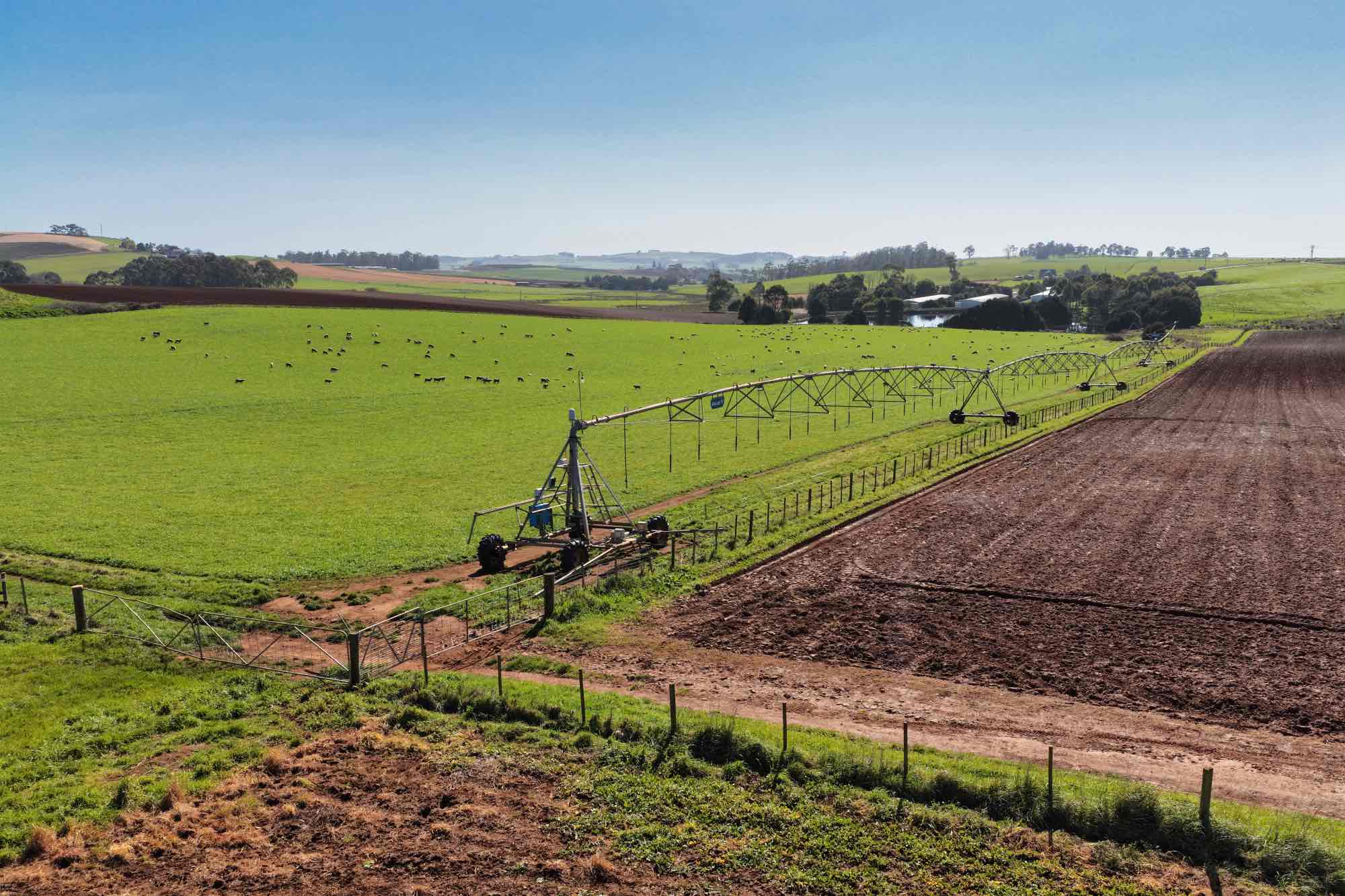 580 Chapel Road, Sassafras, TAS, 7307 - Image 22