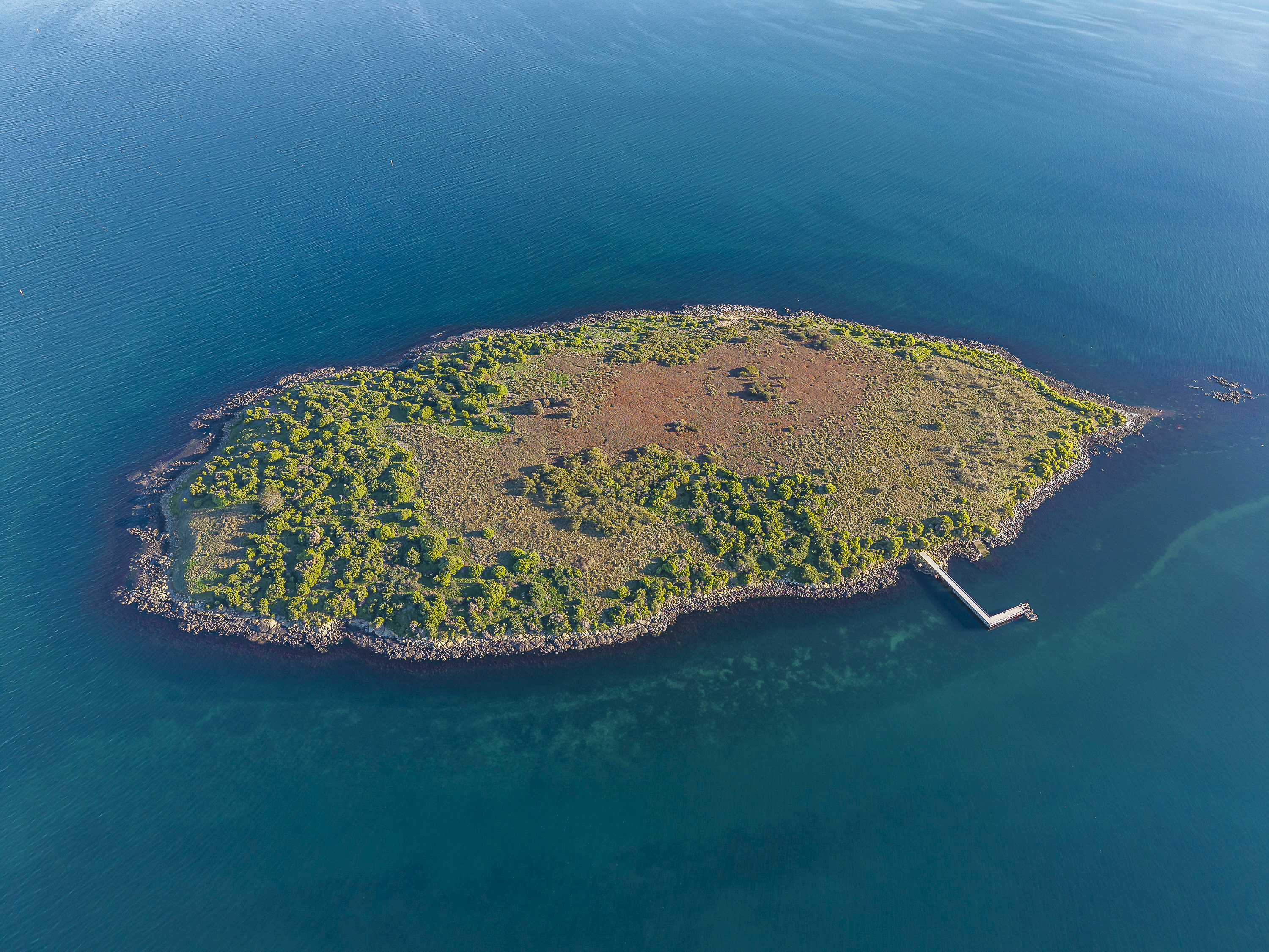 Fulham Island, Dunalley, TAS, 7177 - Image 1