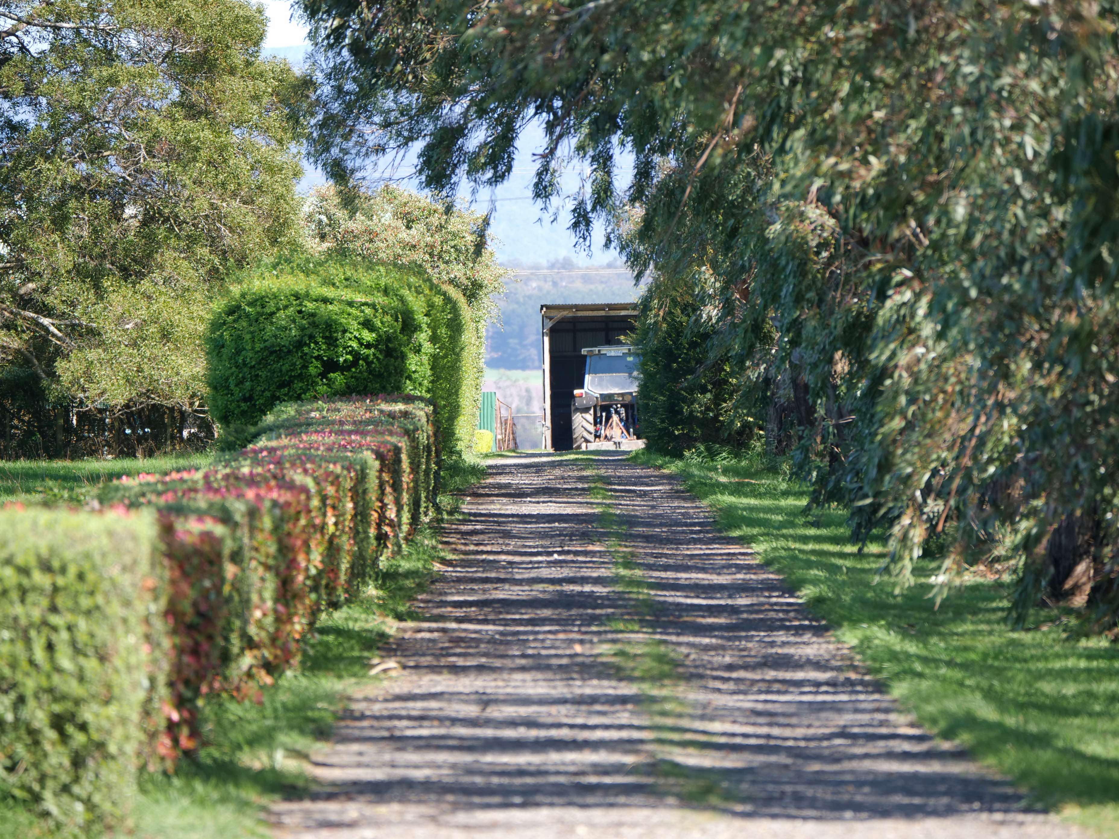 236 Saundridge Road, Cressy, TAS, 7302 - Image 2