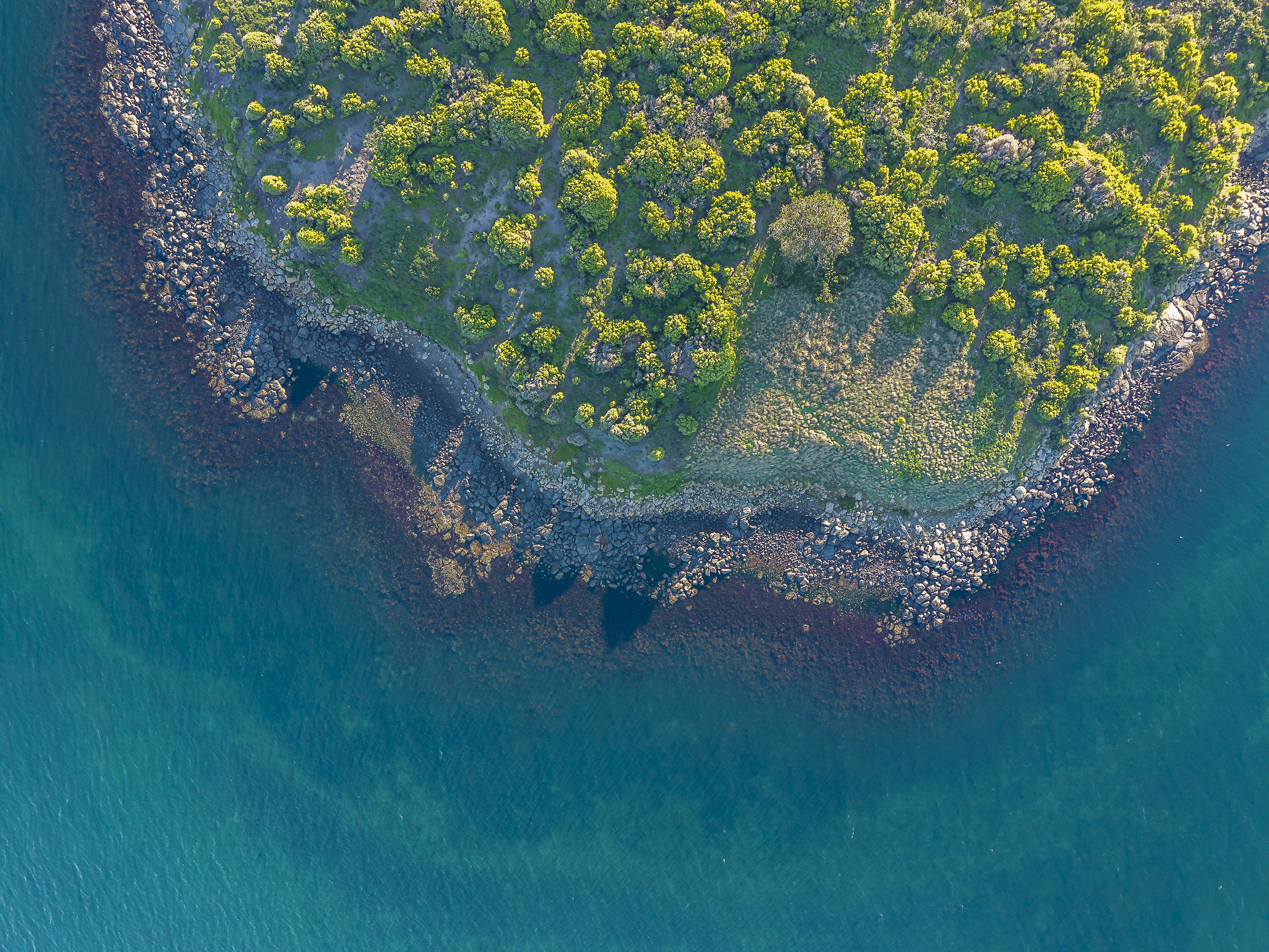 Fulham Island, Dunalley, TAS, 7177 - Image 7