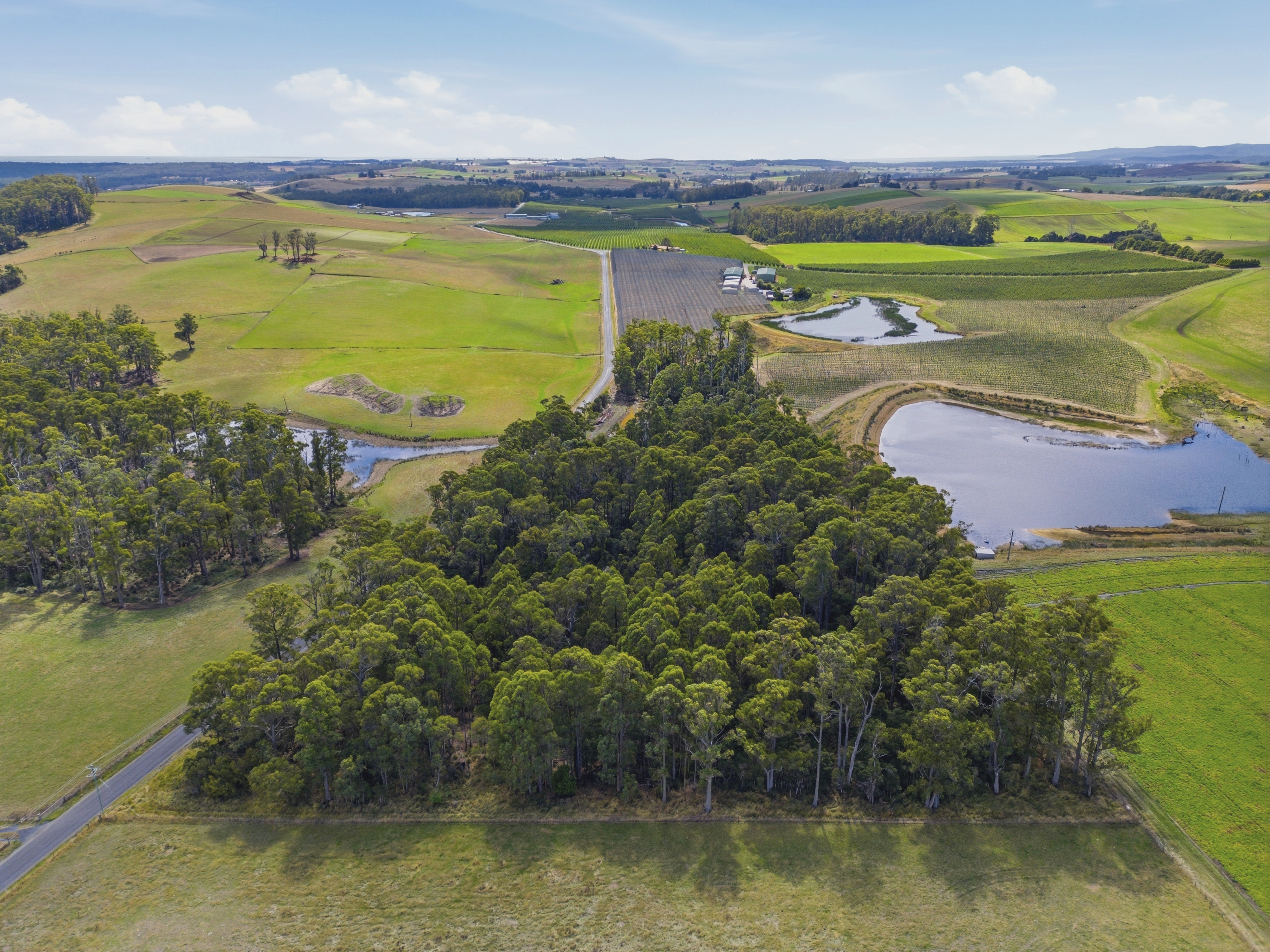 - Native Plains Road, Sassafras, TAS, 7307 - Image 2