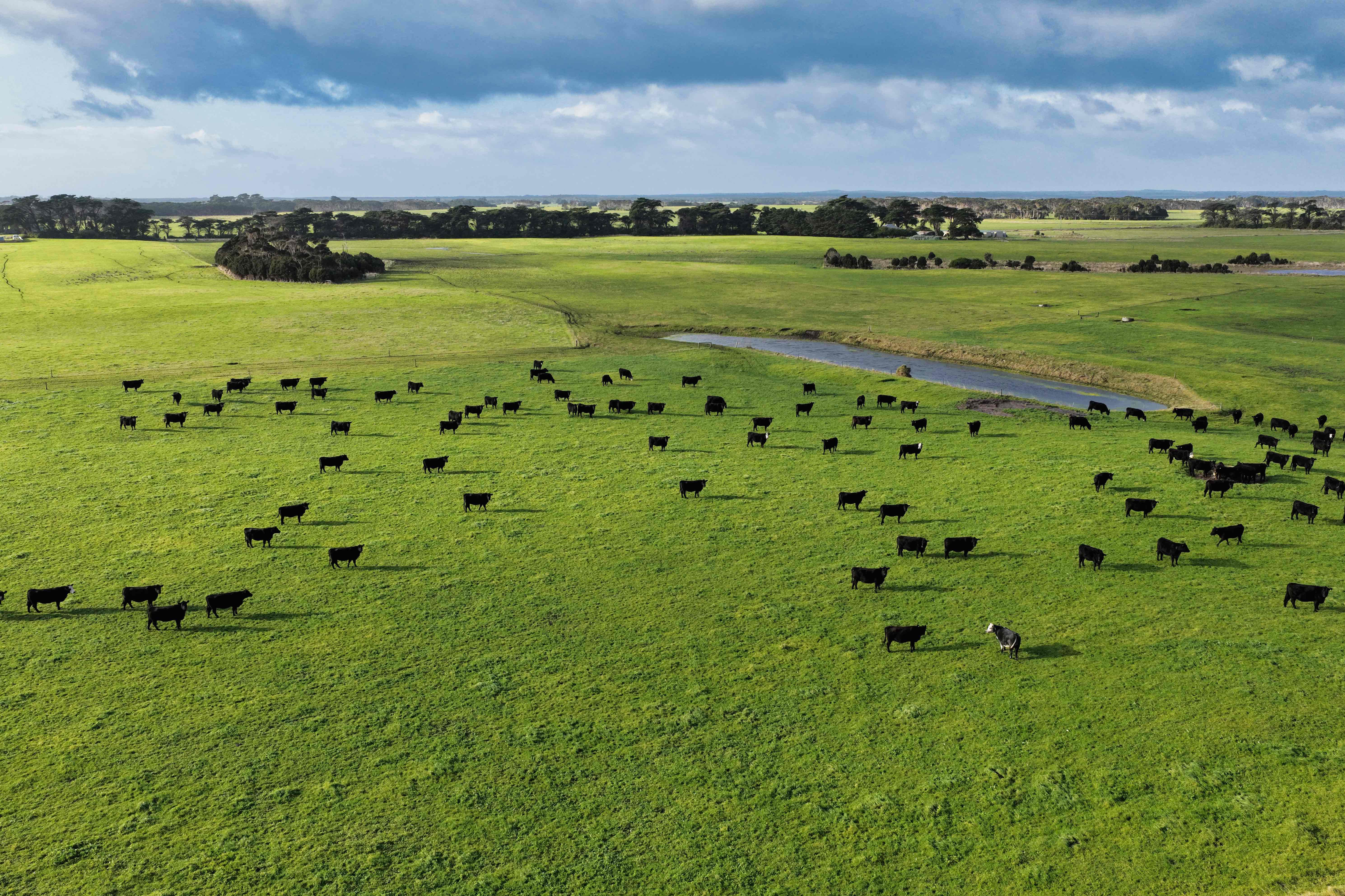 218 Mansons Road, Egg Lagoon, TAS, 7256 - Image 9