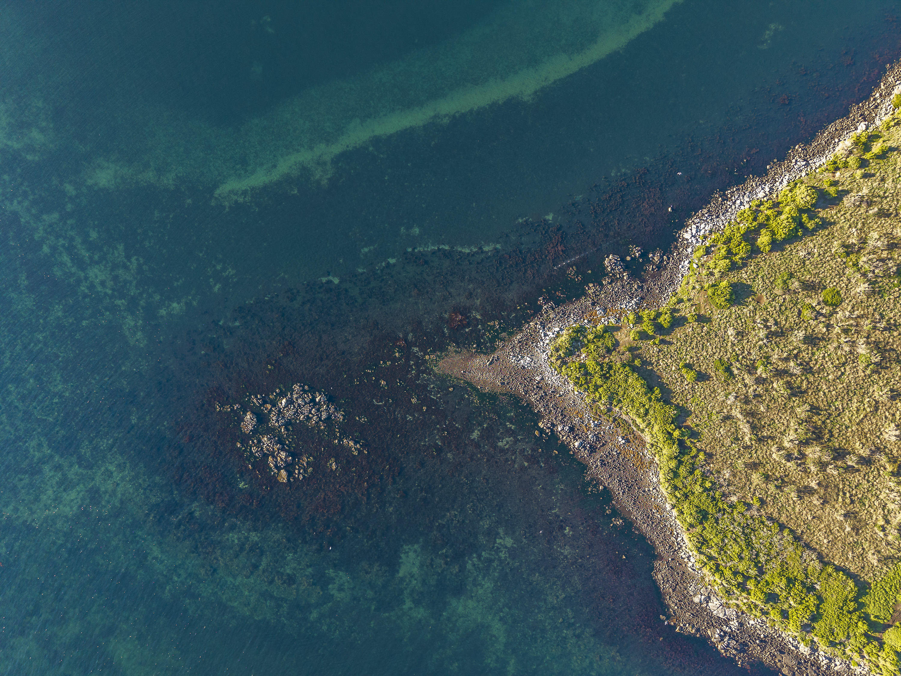 Fulham Island, Dunalley, TAS, 7177 - Image 8