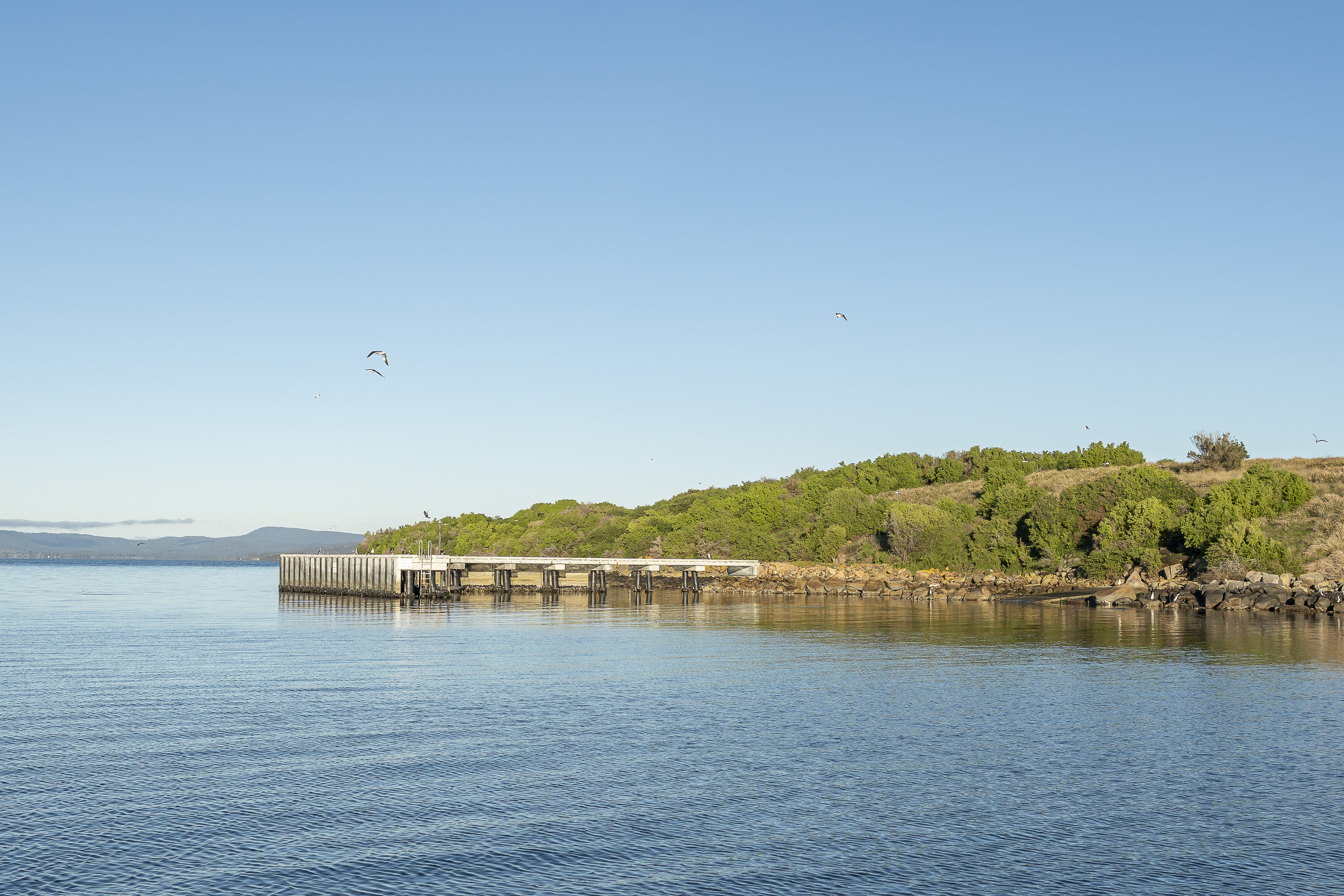 Fulham Island, Dunalley, TAS, 7177 - Image 9