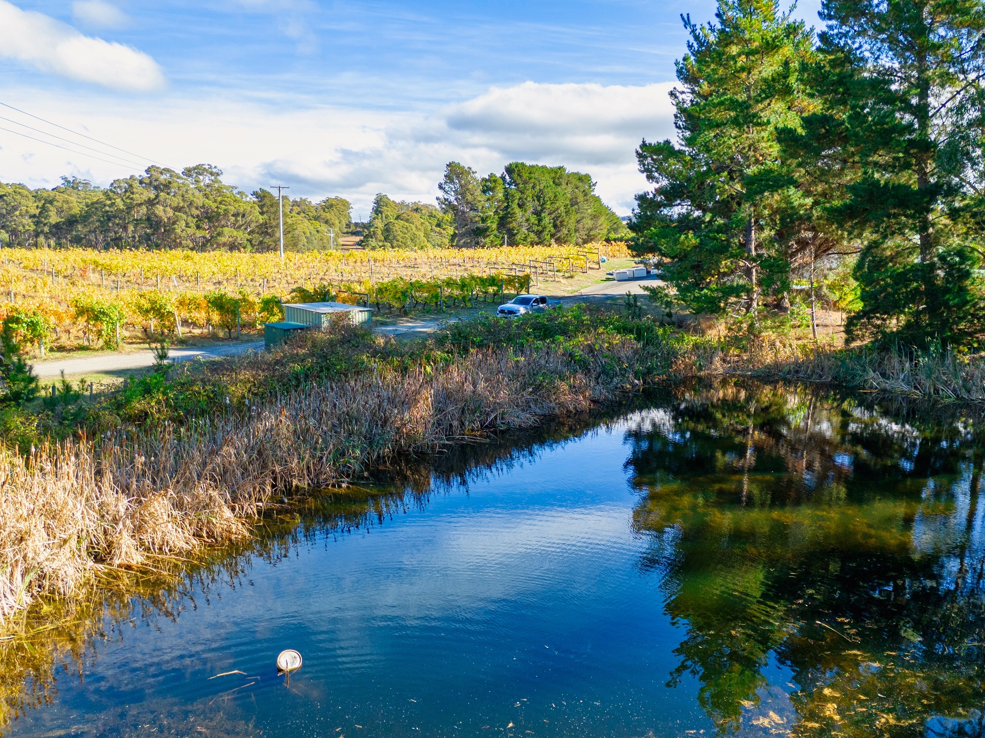 1848 Cygnet Coast Road, Cradoc, TAS, 7109 - Image 16