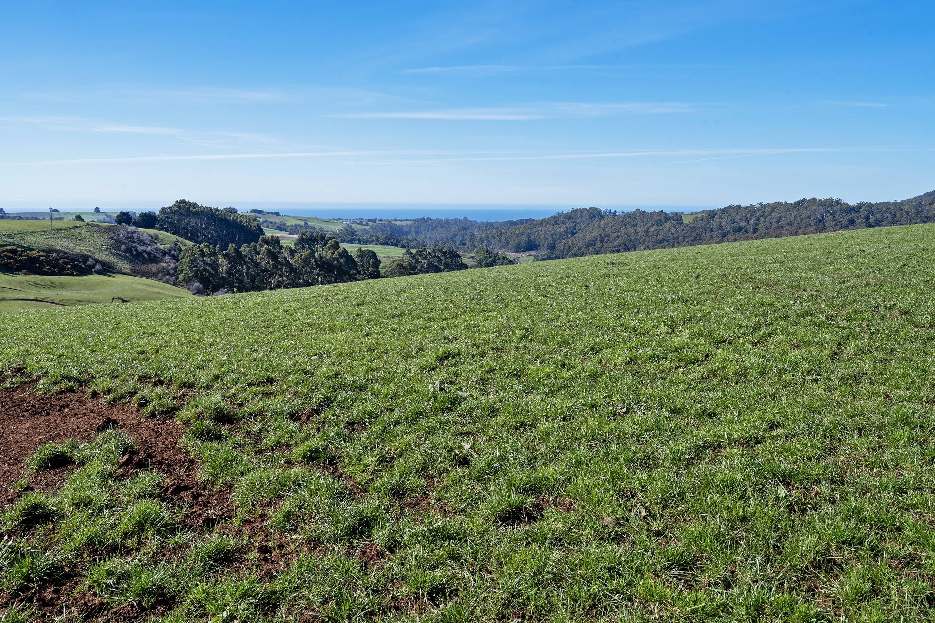 649 Pine Road, Penguin, TAS, 7316 - Image 9