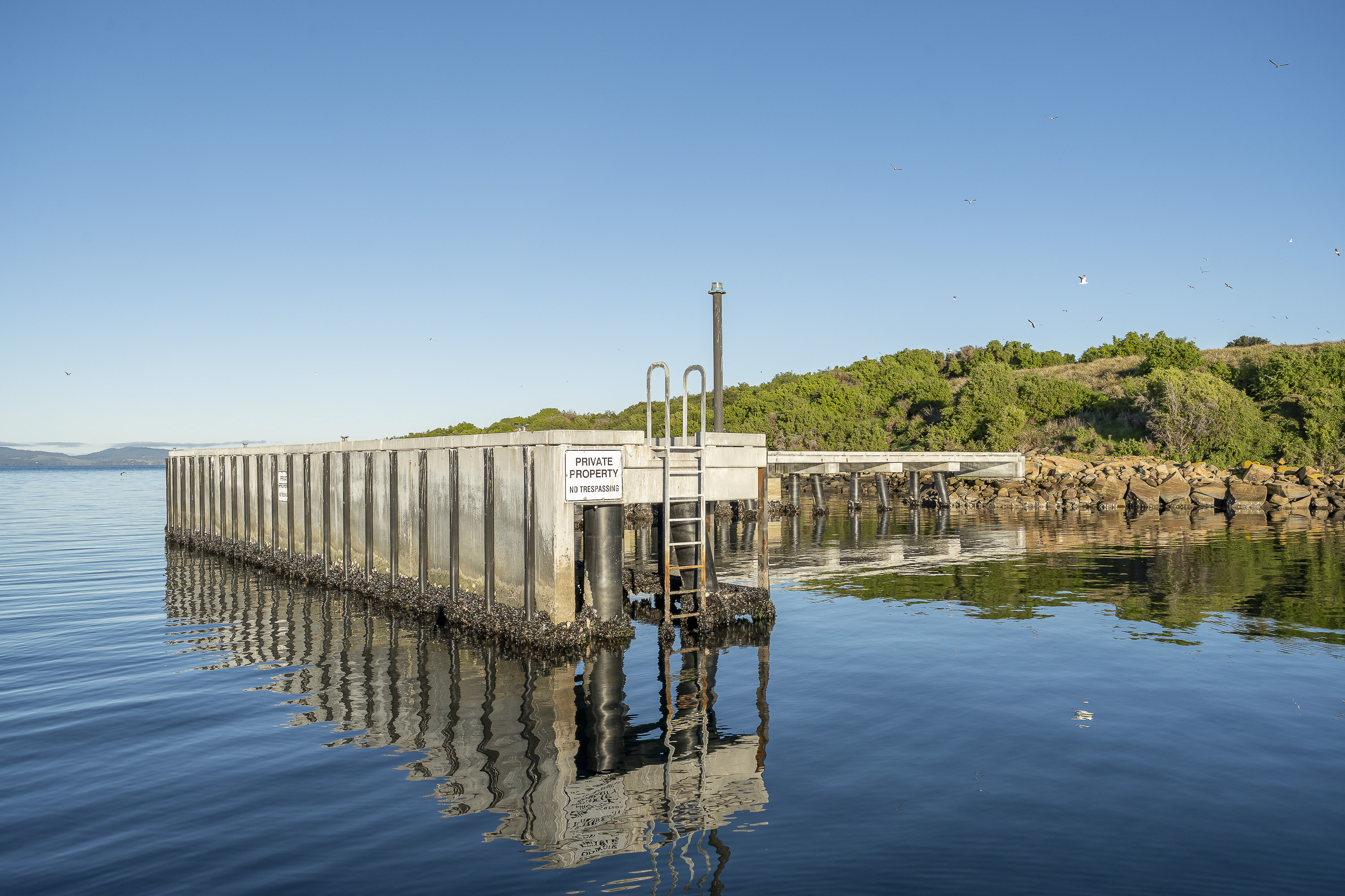 Fulham Island, Dunalley, TAS, 7177 - Image 2