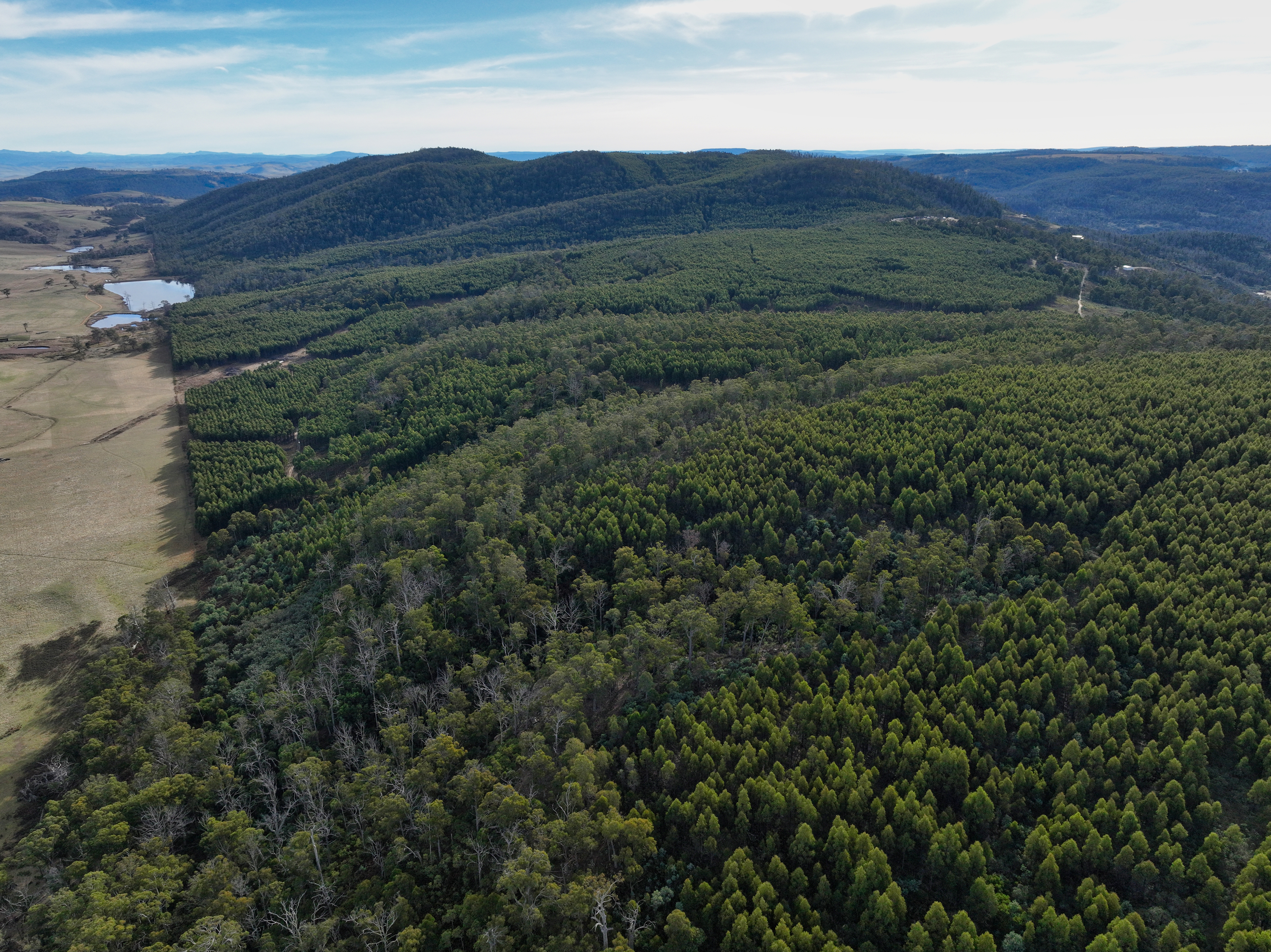 1 Pelham Road, Pelham, TAS, 7030 - Image 5