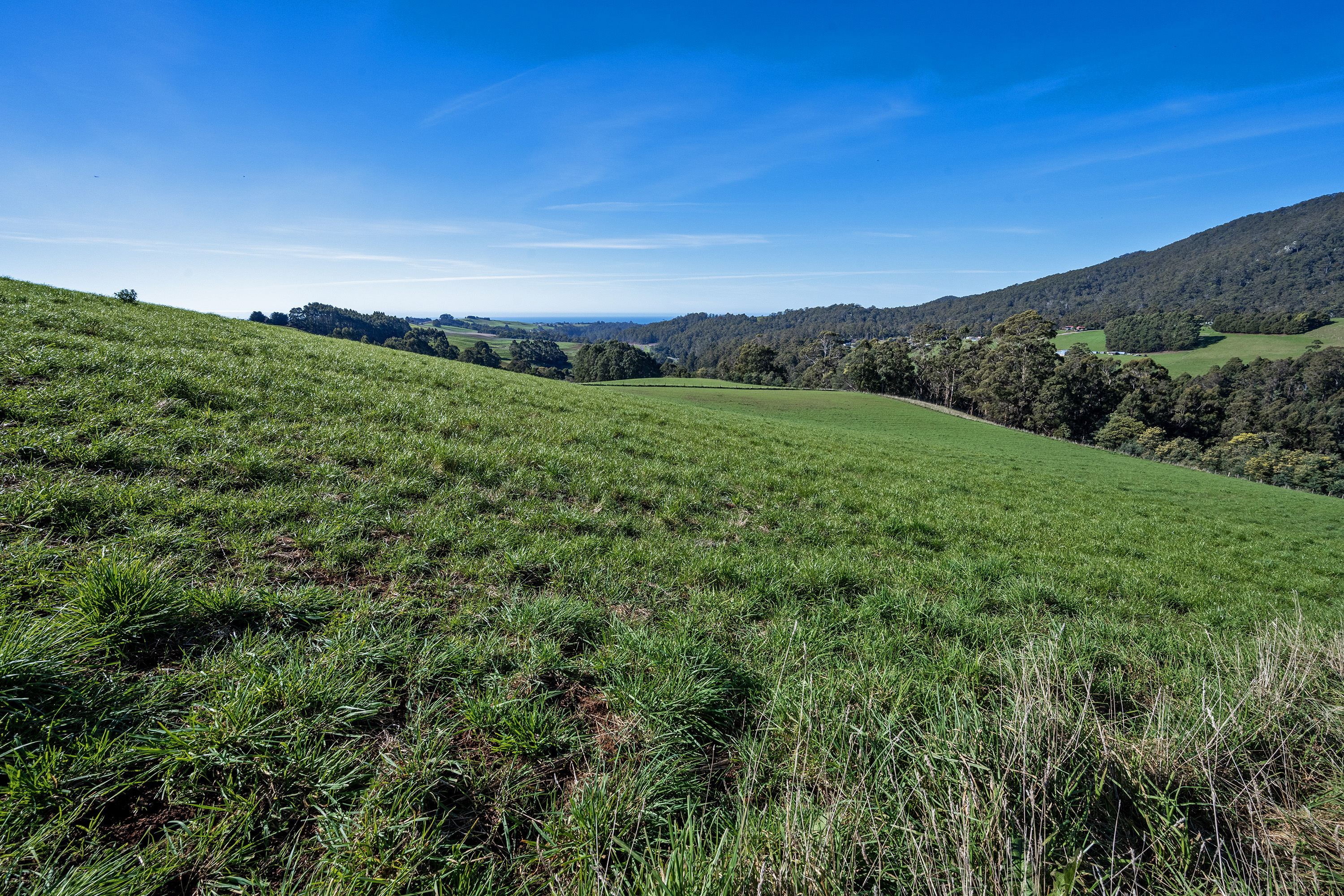 649 Pine Road, Penguin, TAS, 7316 - Image 10