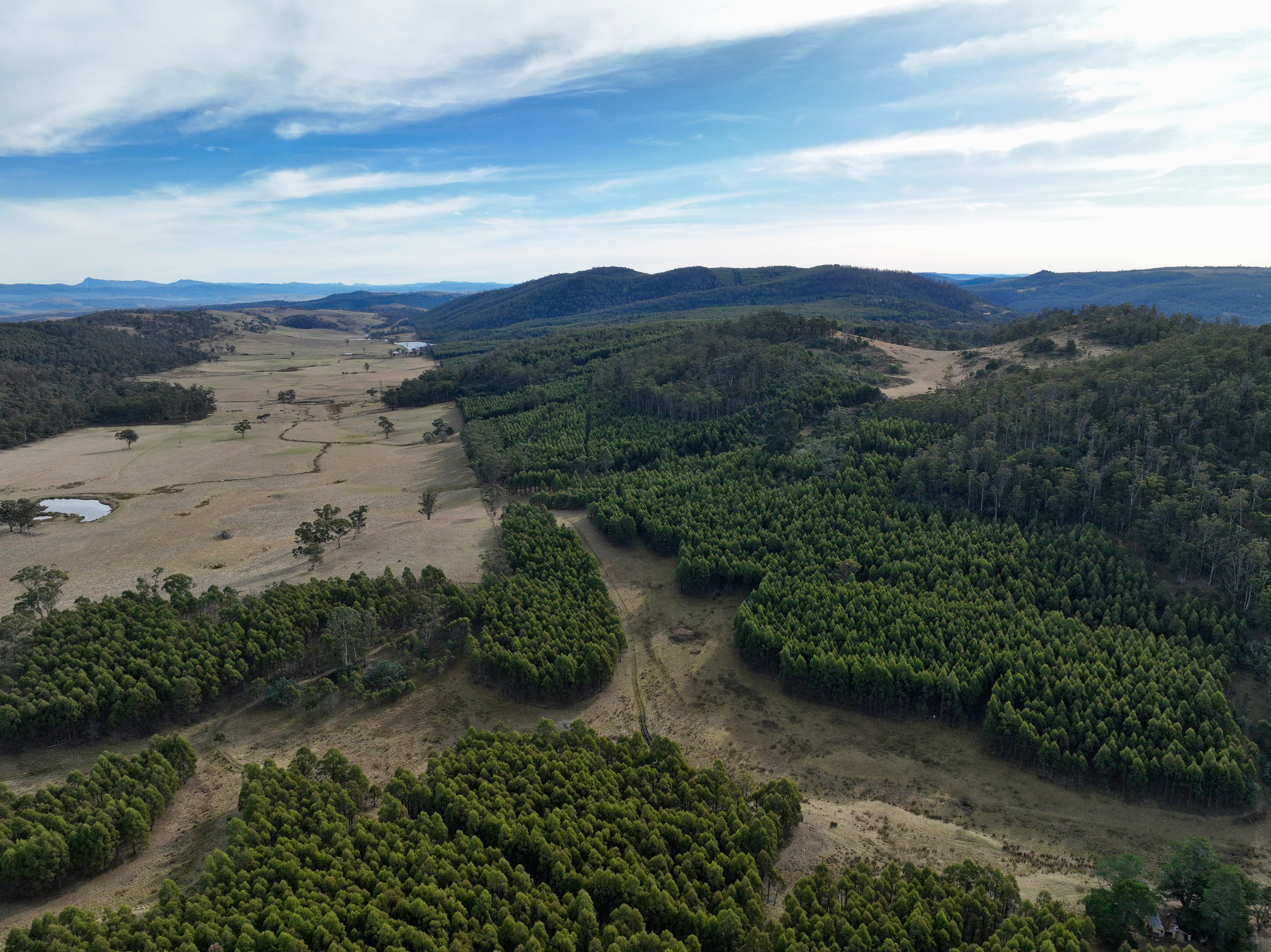 1 Pelham Road, Pelham, TAS, 7030 - Image 3
