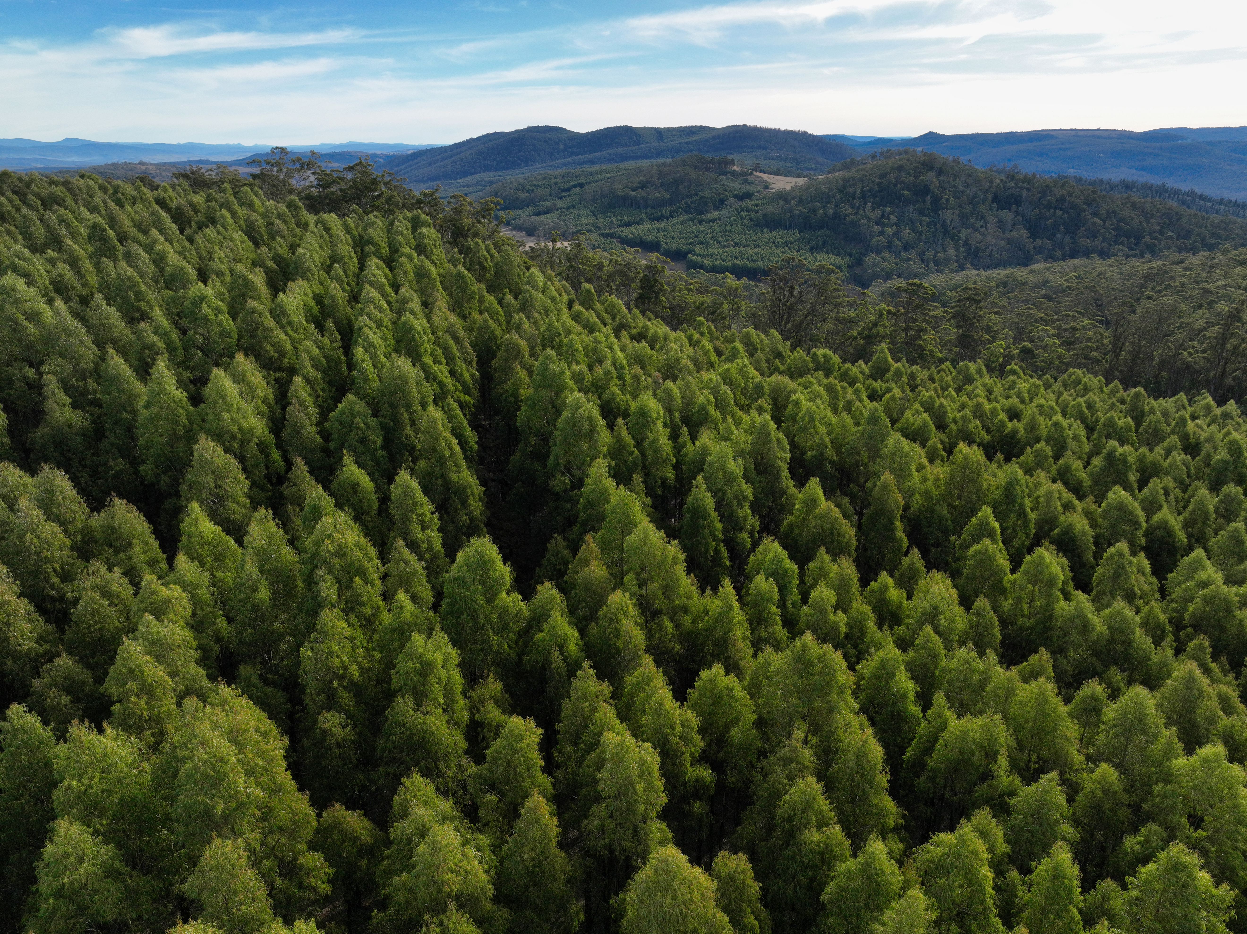 1 Pelham Road, Pelham, TAS, 7030 - Image 4