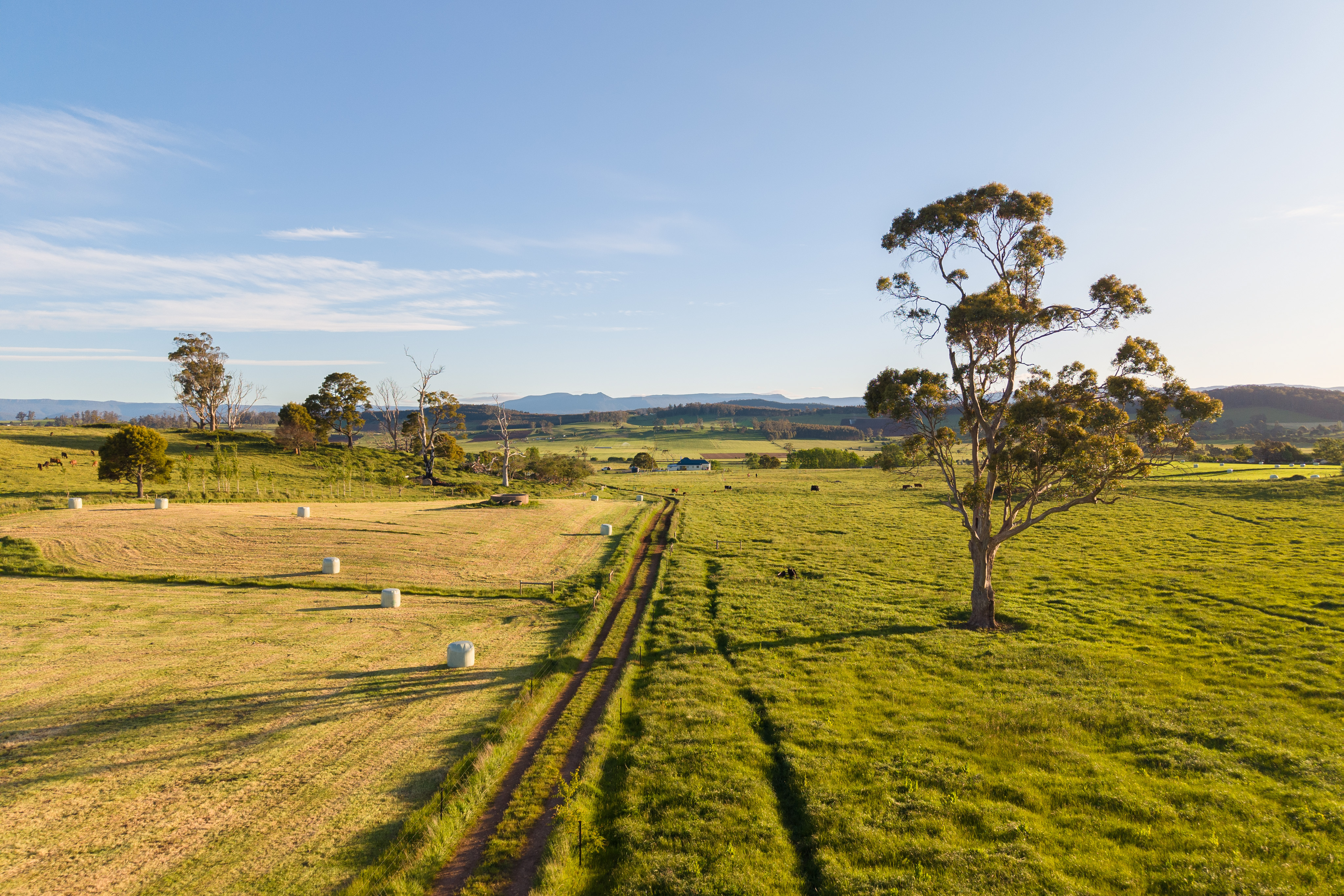 475 Dunorlan Road, Dunorlan, TAS, 7304 - Image 6