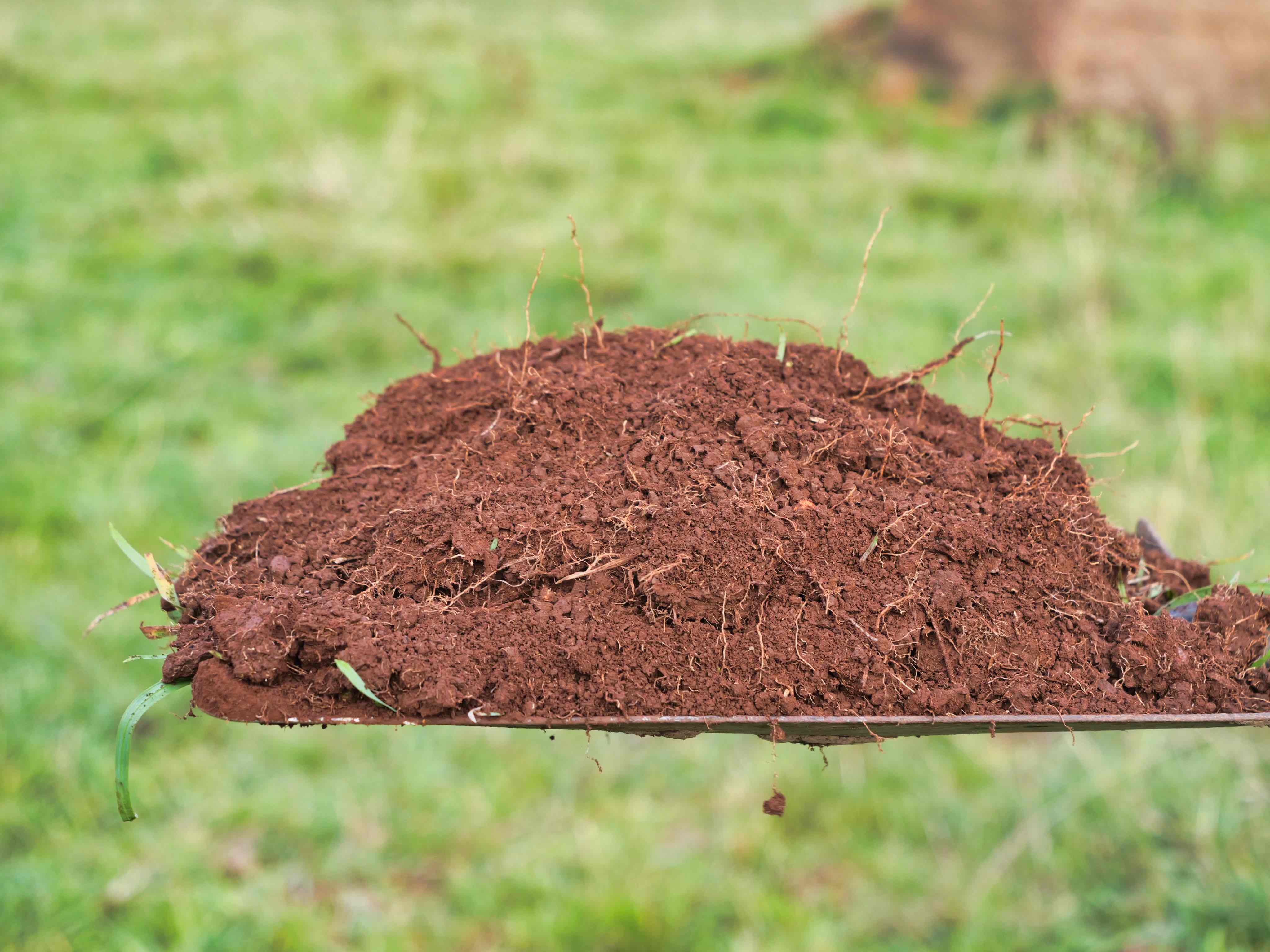 17 Lemana Road, Red Hills, TAS, 7304 - Image 6