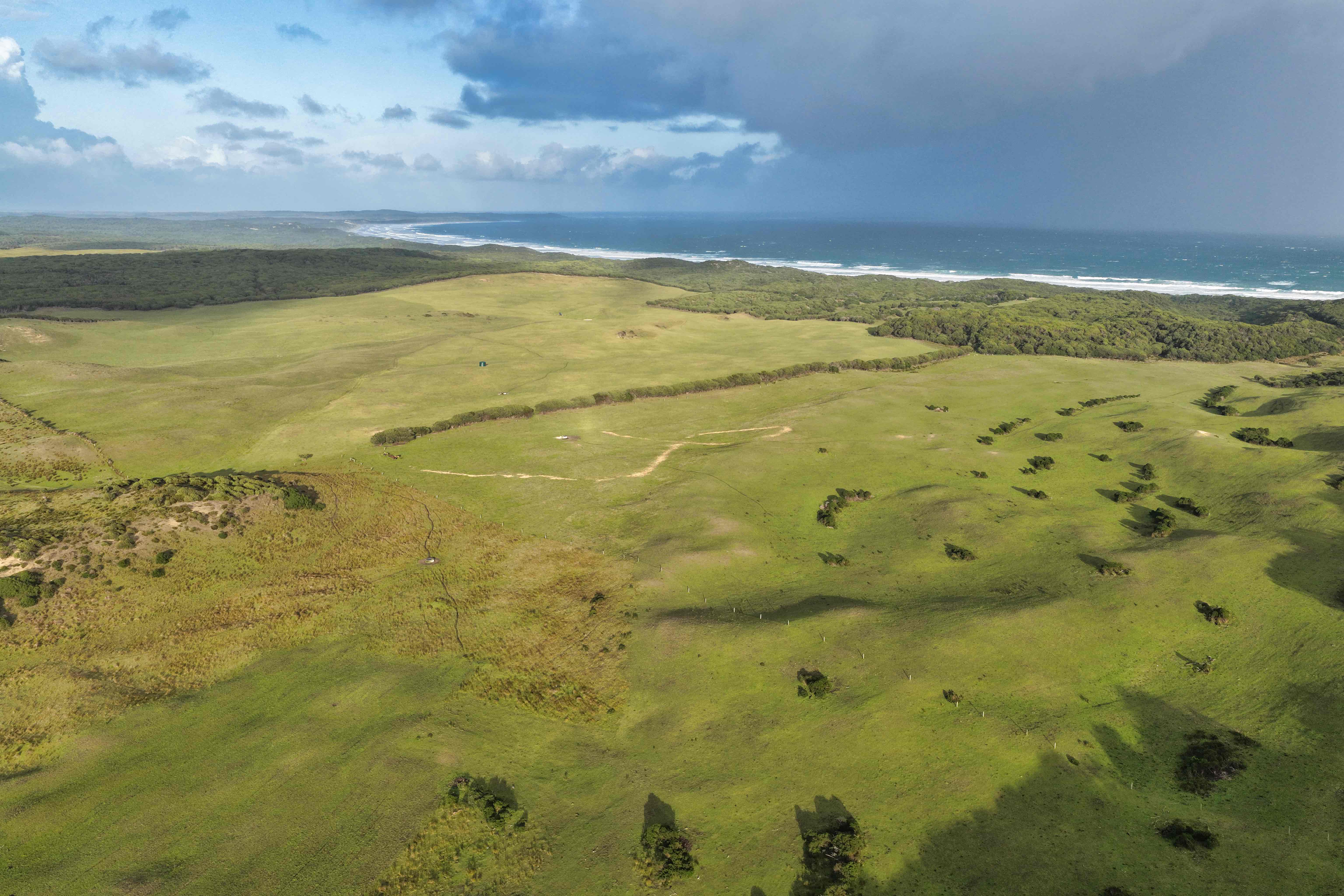 218 Mansons Road, Egg Lagoon, TAS, 7256 - Image 10