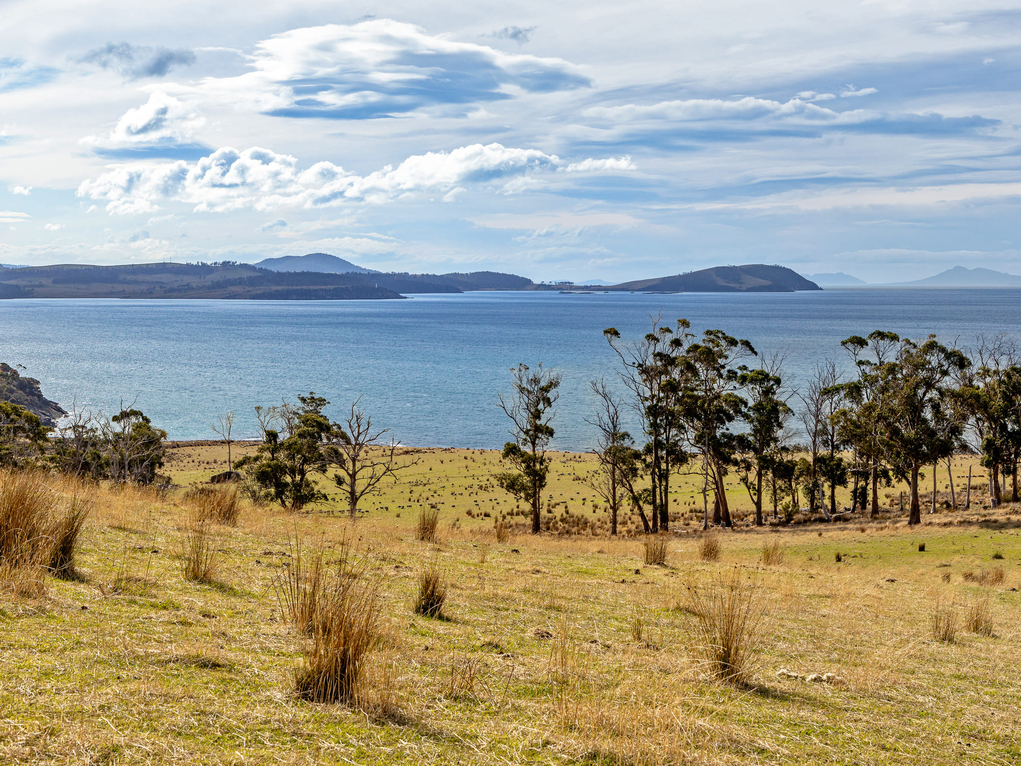 1019 Rheban Road, Orford, TAS, 7190 - Image 9