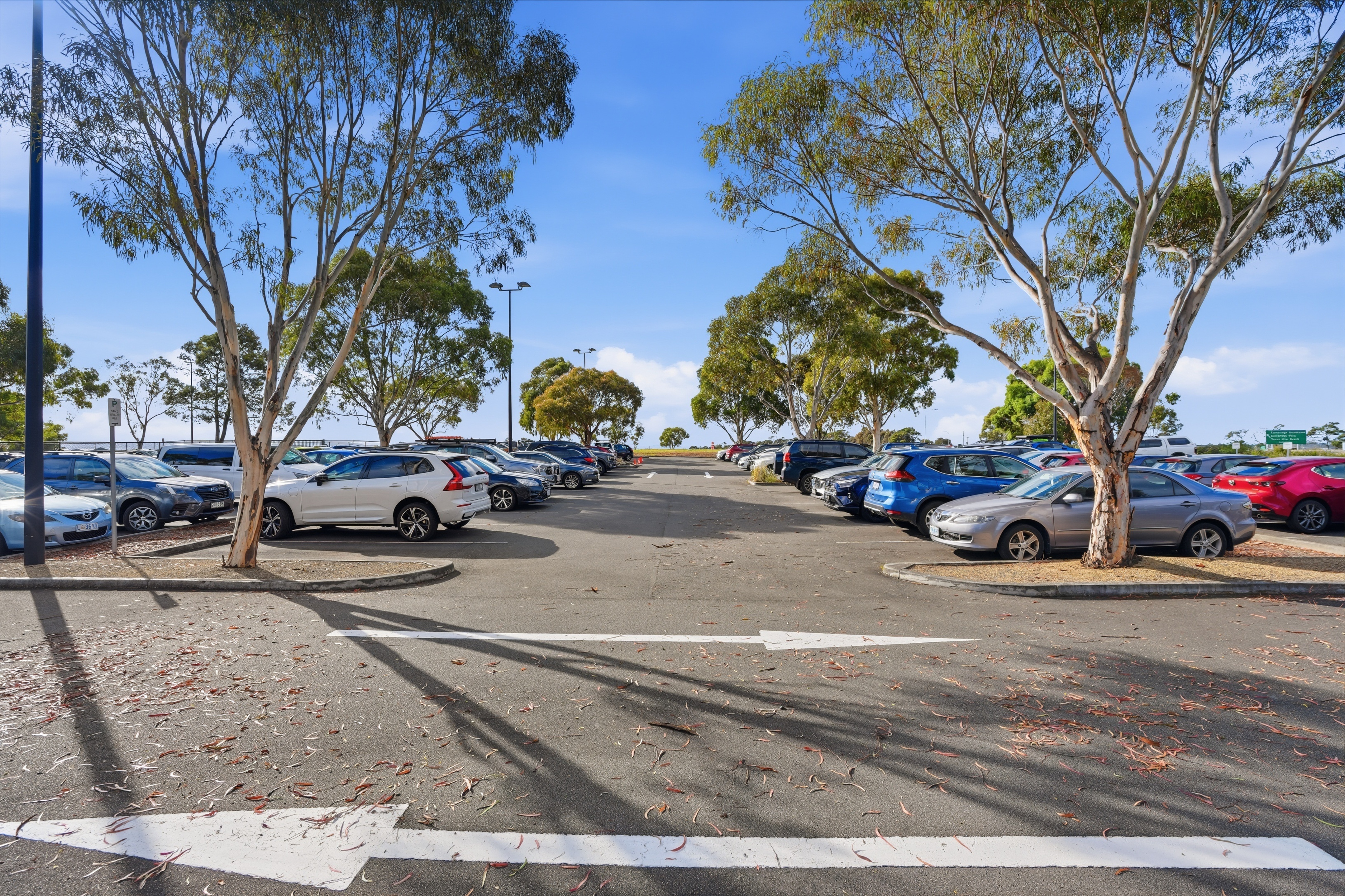89 Cambridge Park Drive, Cambridge, TAS, 7170 - Image 5