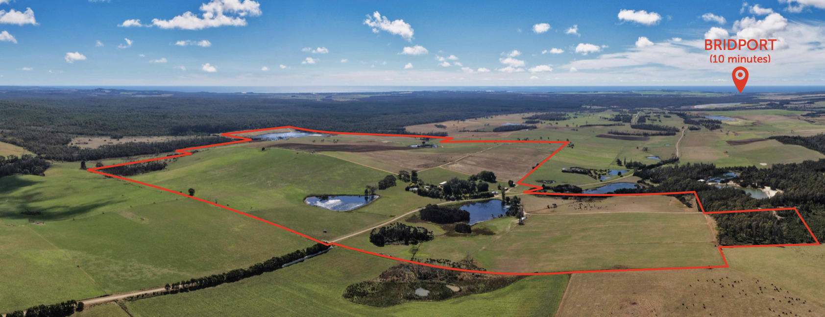 985 Ferny Hill Road, Bridport, TAS, 7262 - Image 3