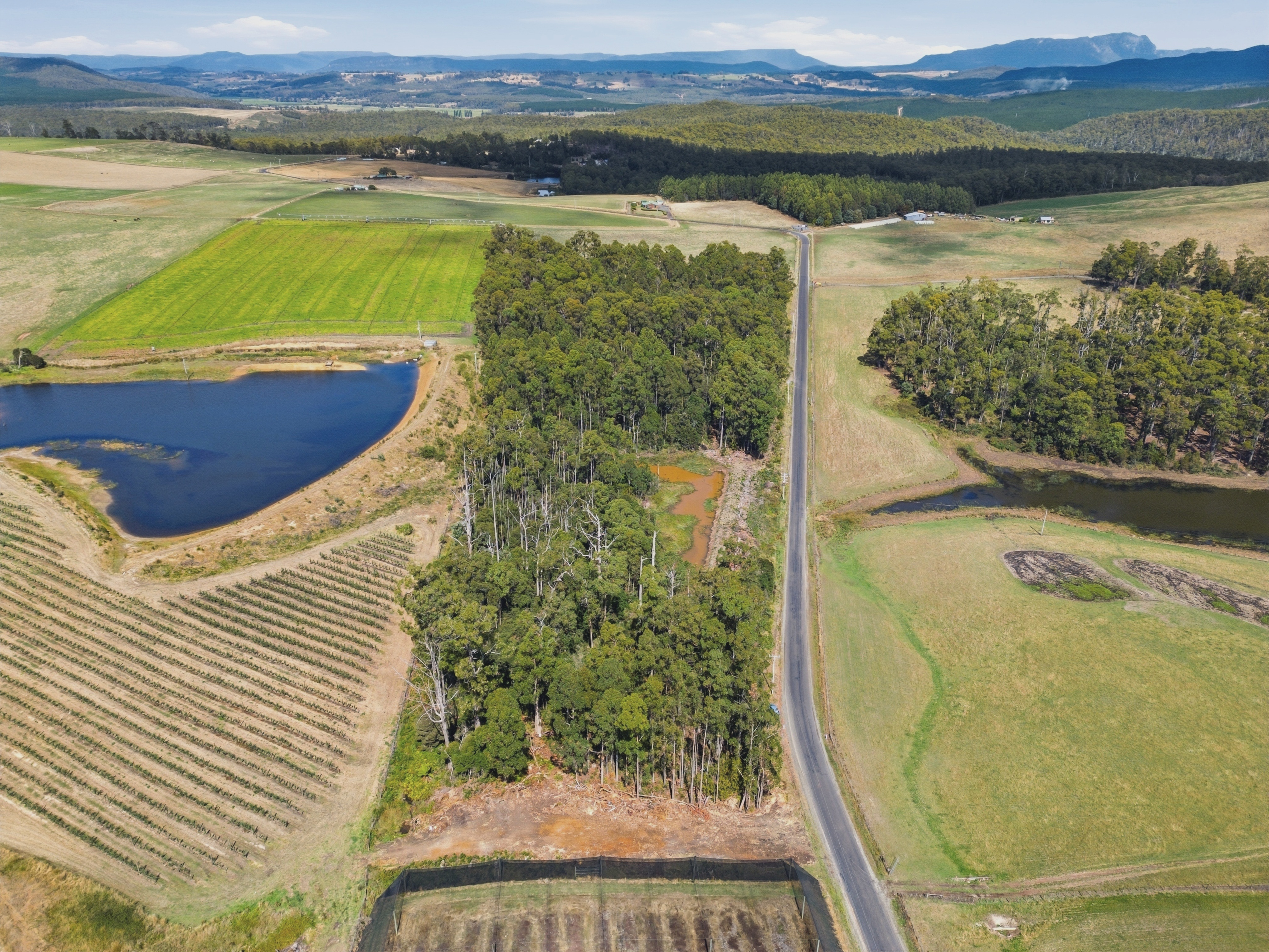 - Native Plains Road, Sassafras, TAS, 7307 - Image 5