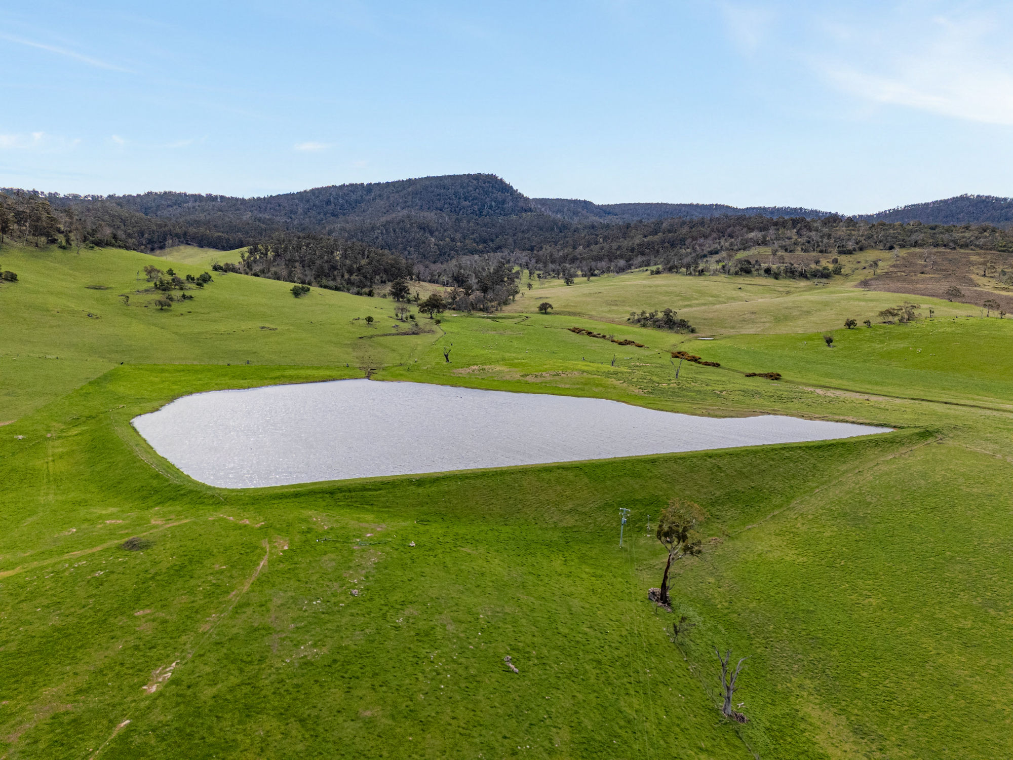 669 Black Brush Road, Broadmarsh, TAS, 7030 - Image 4