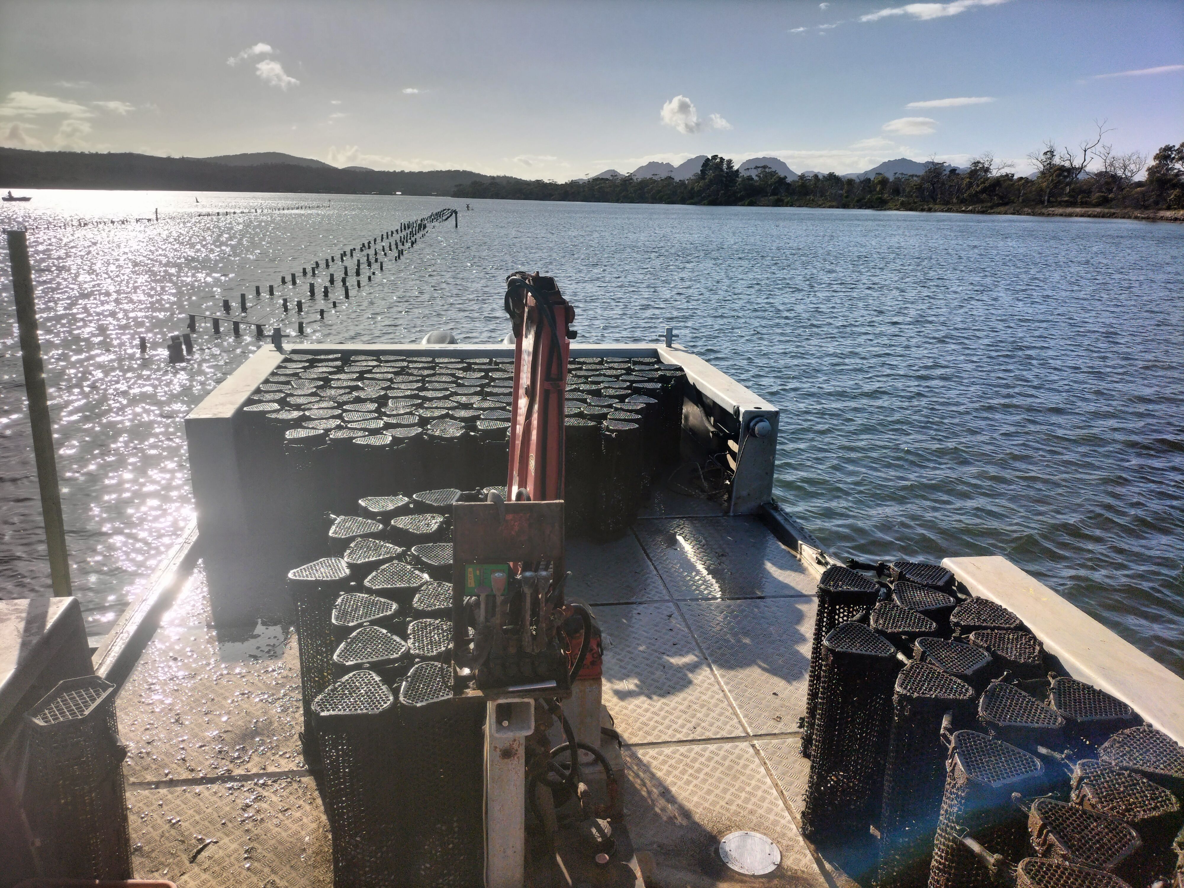 U5 7 Yellow Sandbanks Road, Dolphin Sands, TAS, 7190 - Image 7