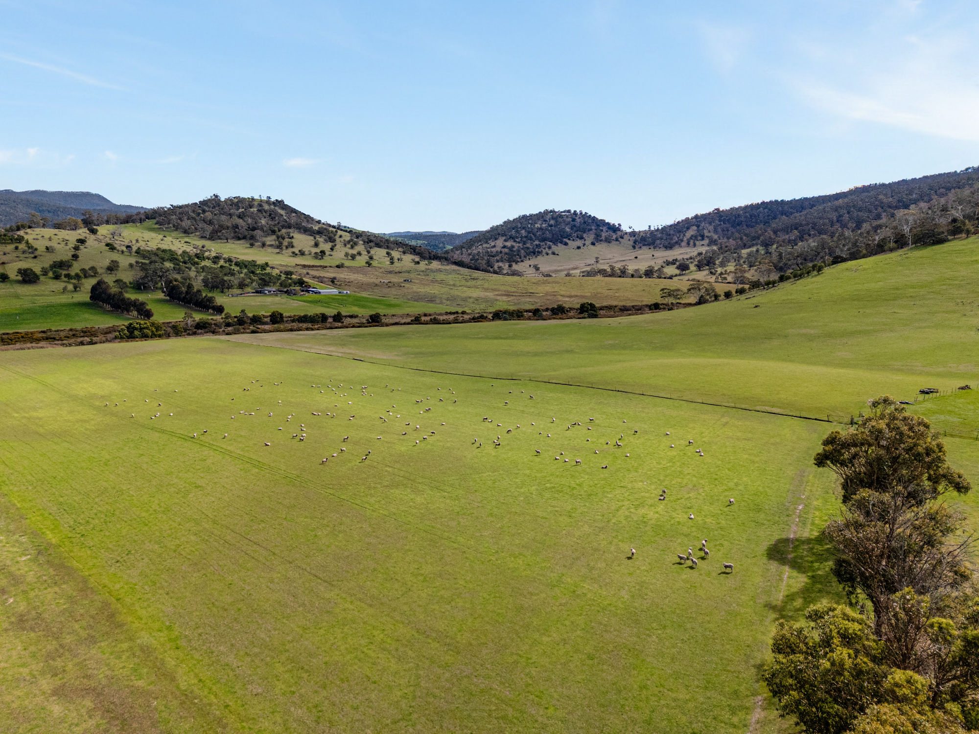 669 Black Brush Road, Broadmarsh, TAS, 7030 - Image 7