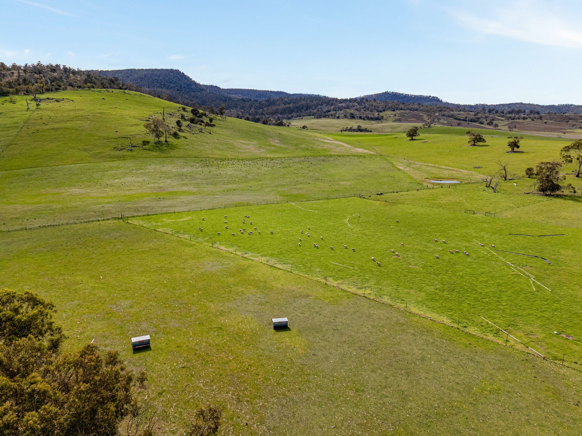 669 Black Brush Road, Broadmarsh, TAS, 7030 - Image 8