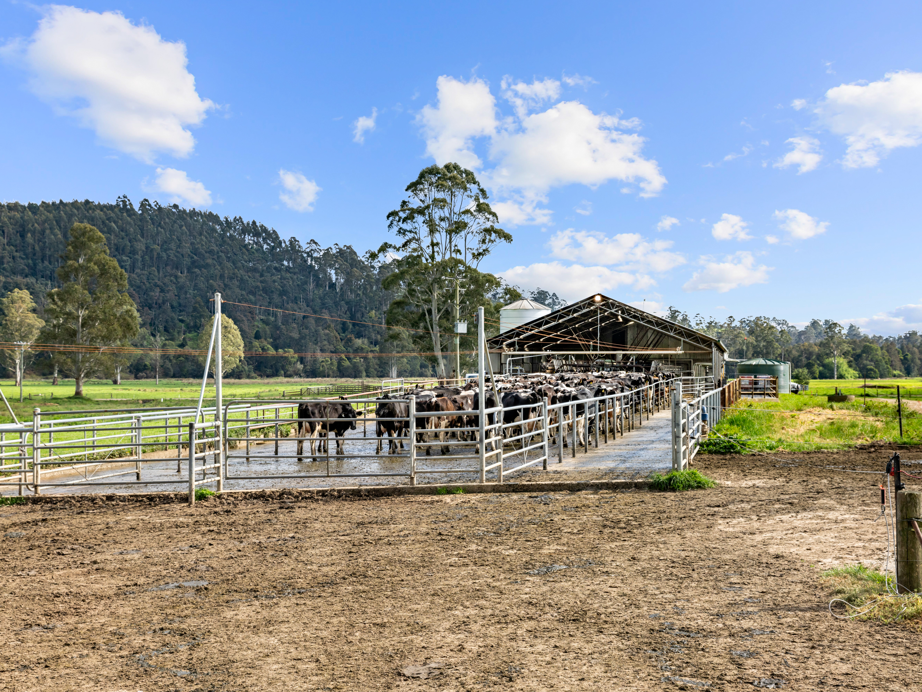 429 Maurice Road, Trenah, TAS, 7263 - Image 9