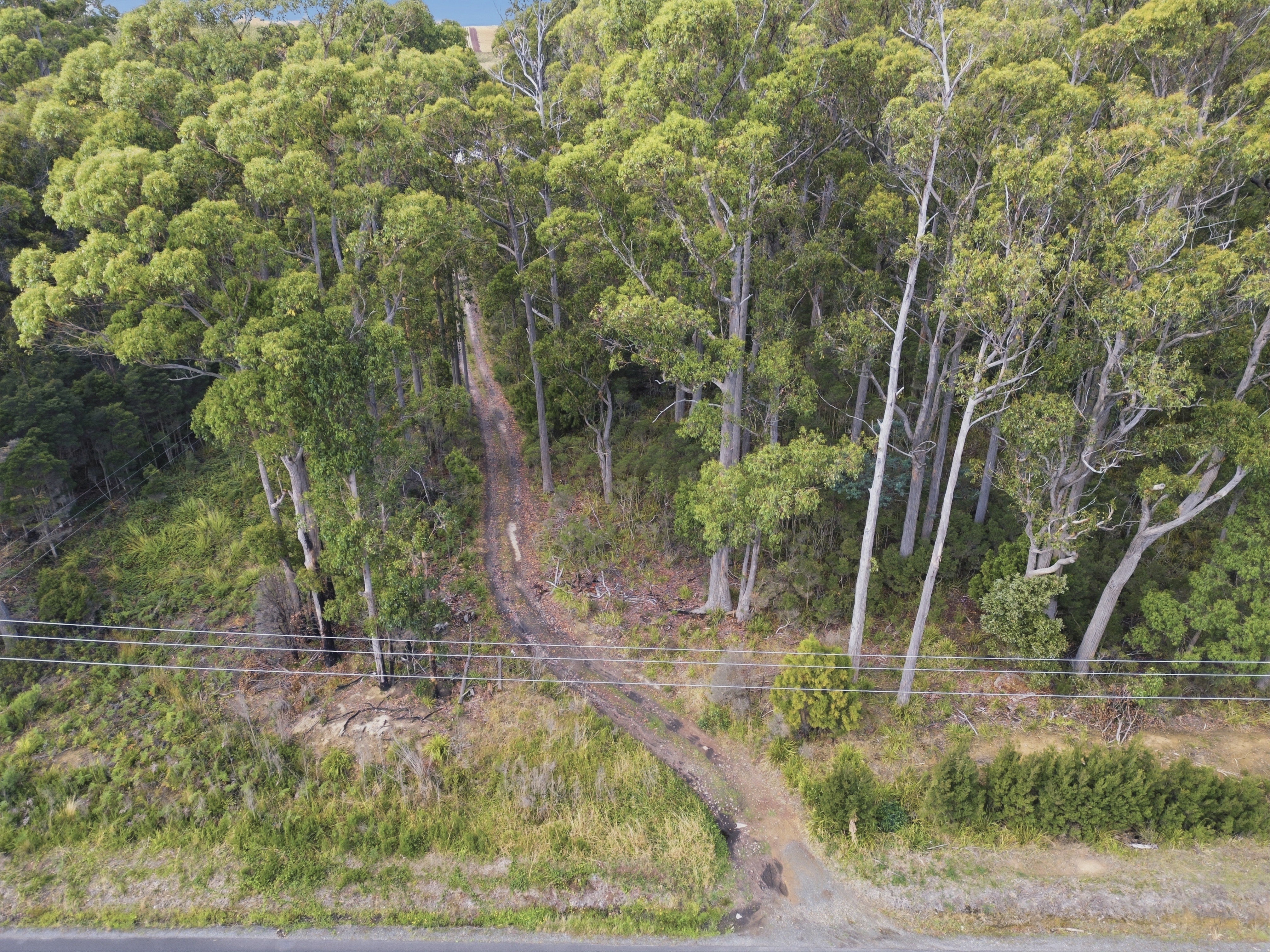 - Native Plains Road, Sassafras, TAS, 7307 - Image 6