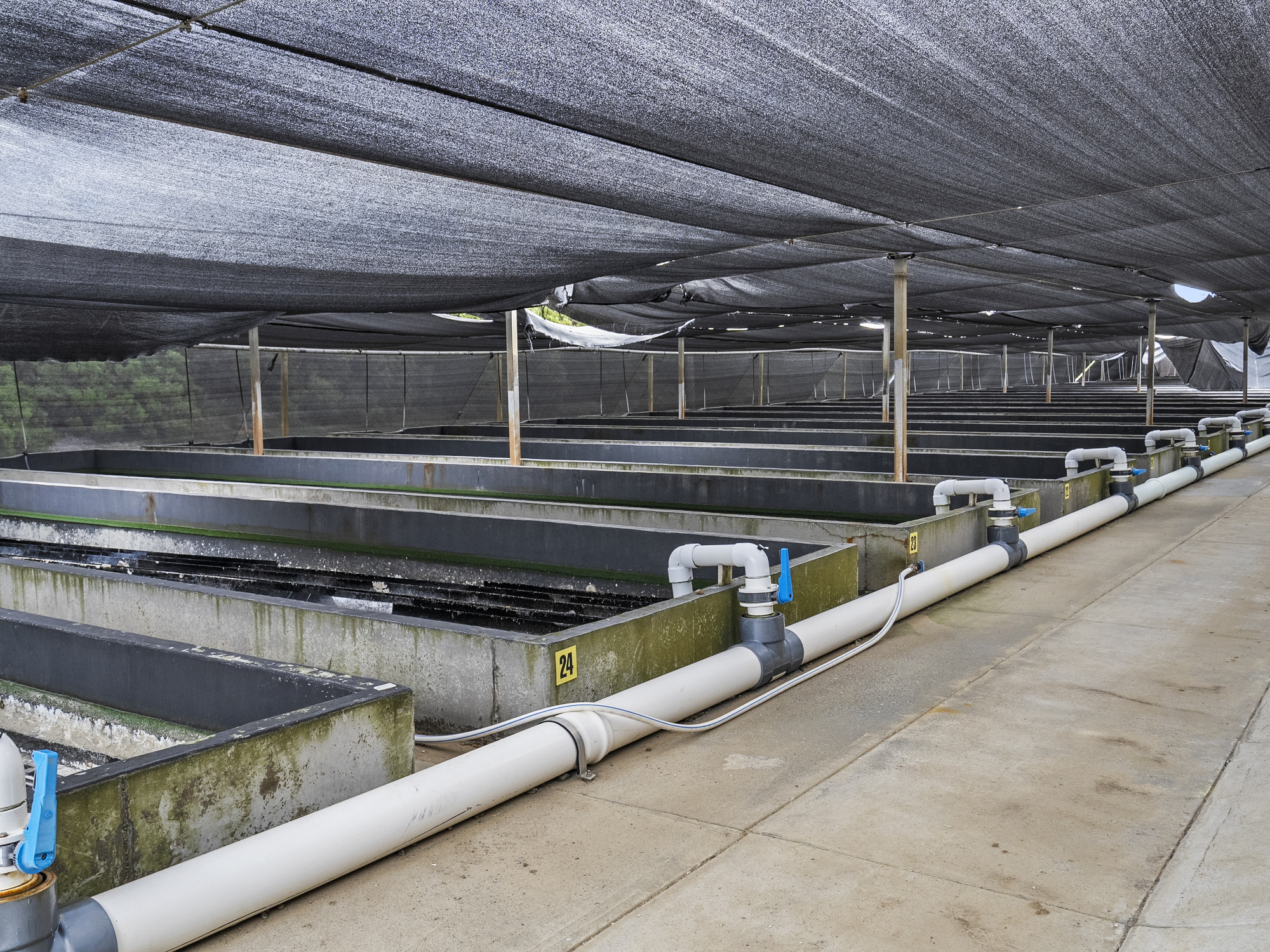 403 Fulham Road & Marine Lease No. 235, Dunalley, TAS, 7177 - Image 7