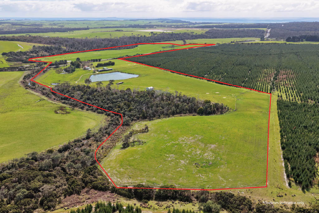 2431 Bridport Road, Bridport, TAS, 7262 - Image 1