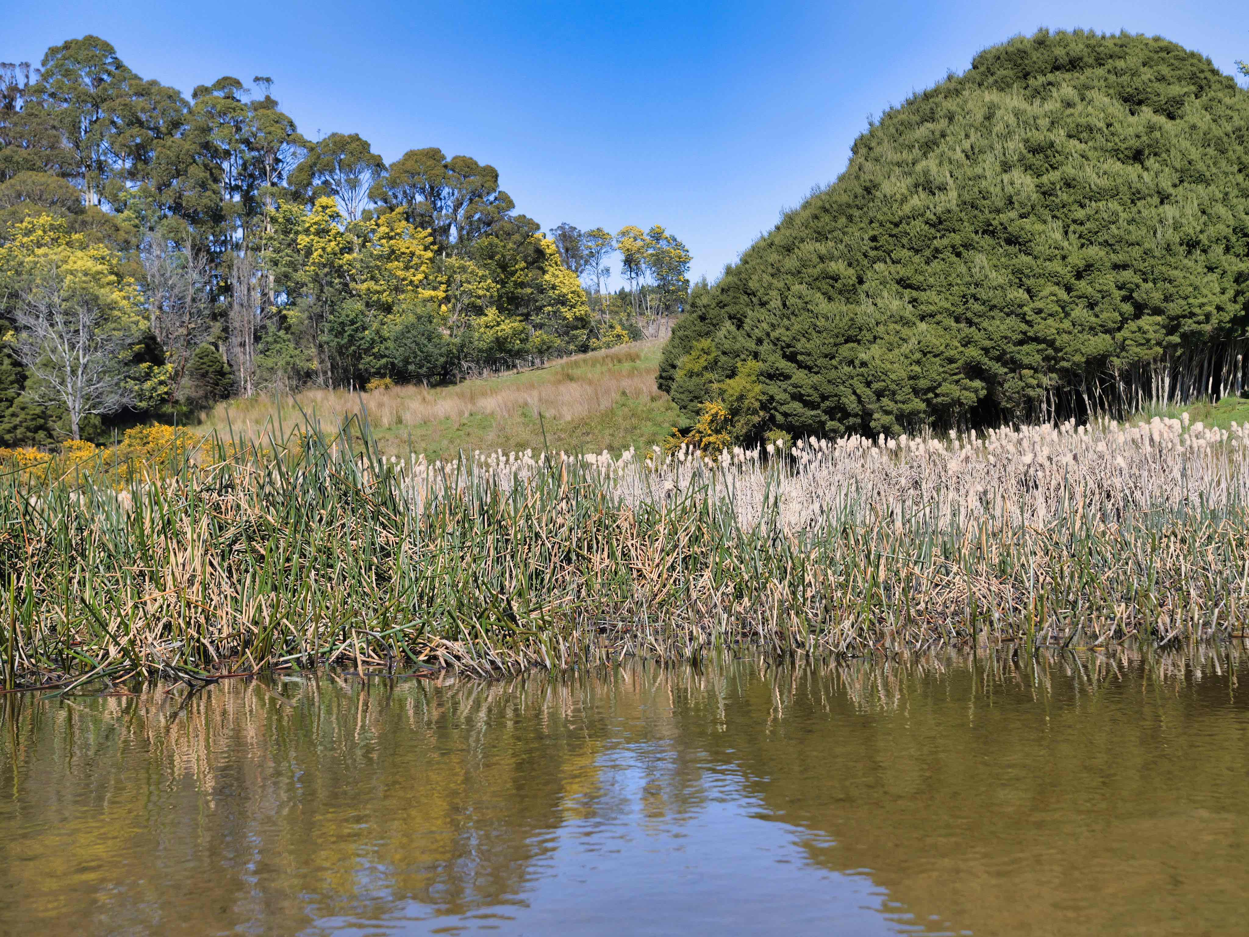 488 Quamby Brook Road, Osmaston, TAS, 7303 - Image 6