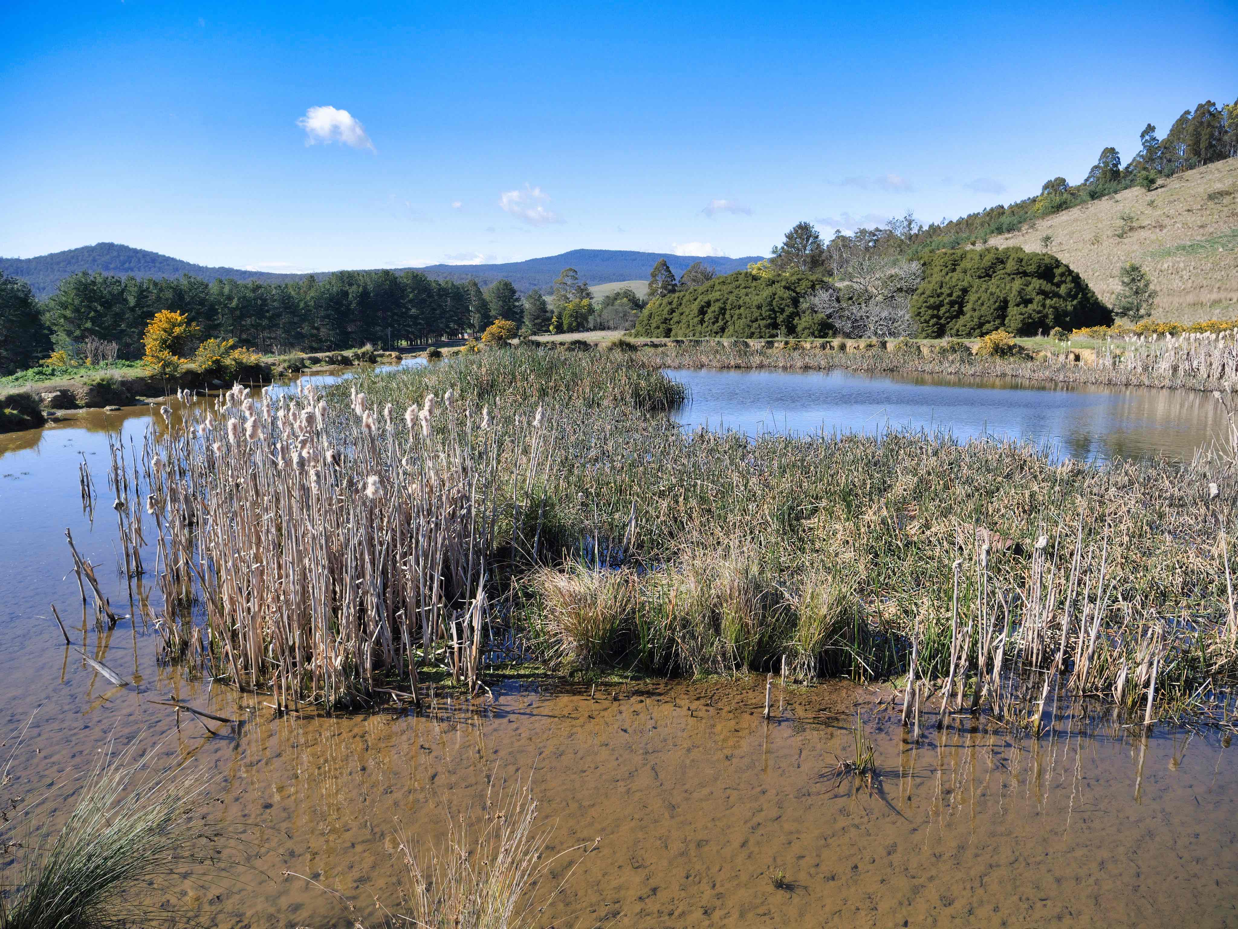 488 Quamby Brook Road, Osmaston, TAS, 7303 - Image 7