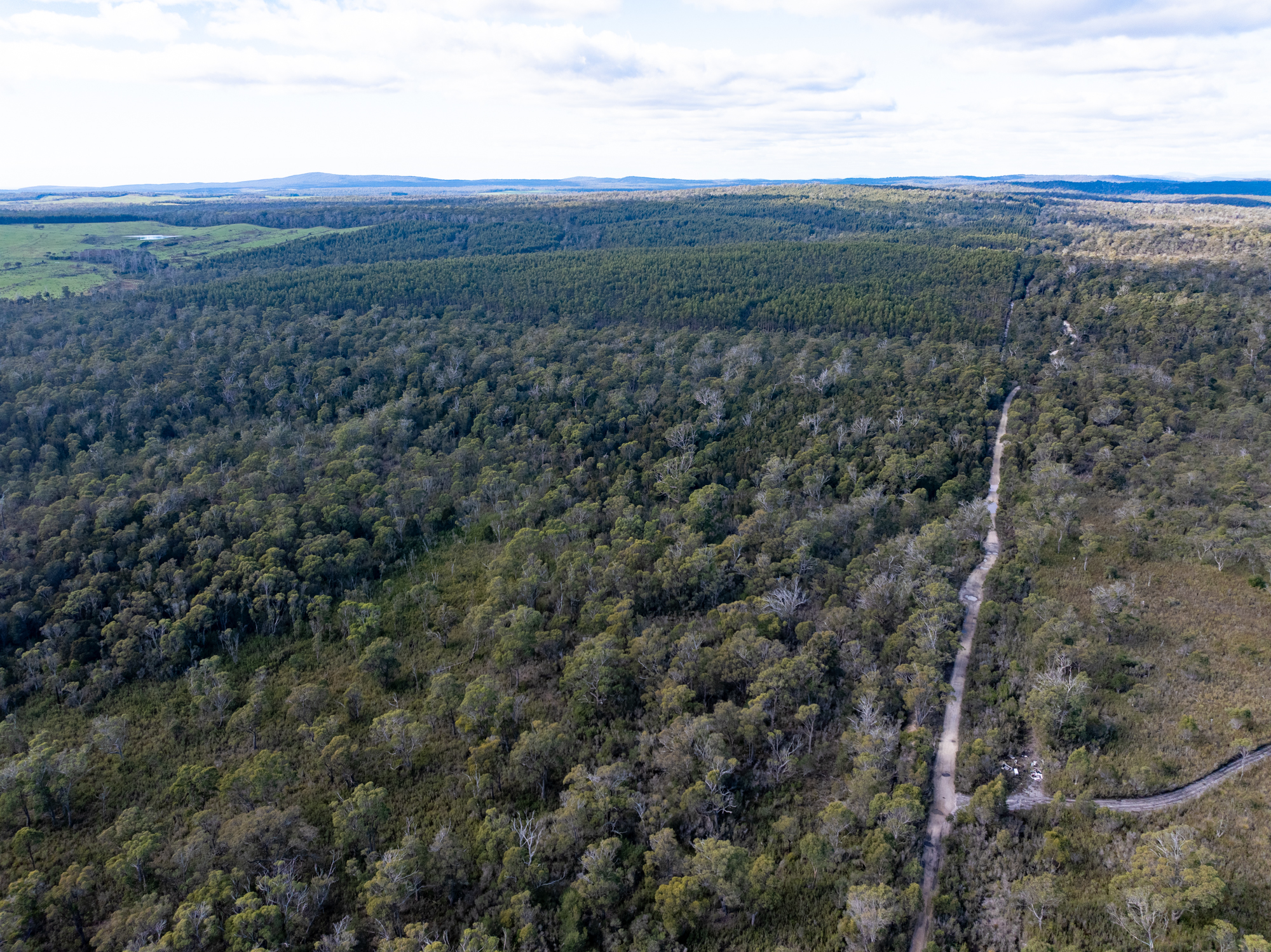 - Musk Vale Road, George Town, TAS, 7253 - Image 3