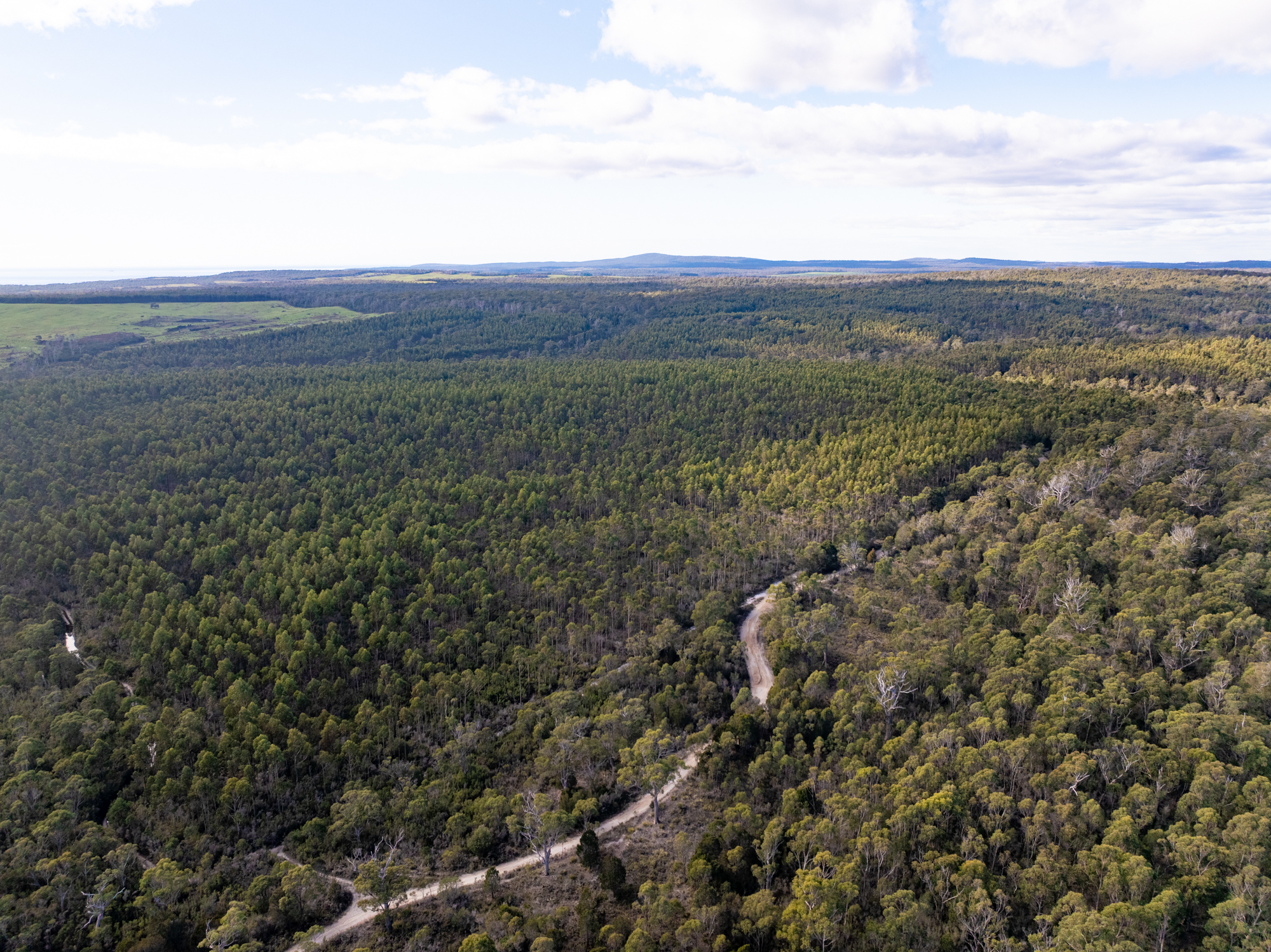 - Musk Vale Road, George Town, TAS, 7253 - Image 1