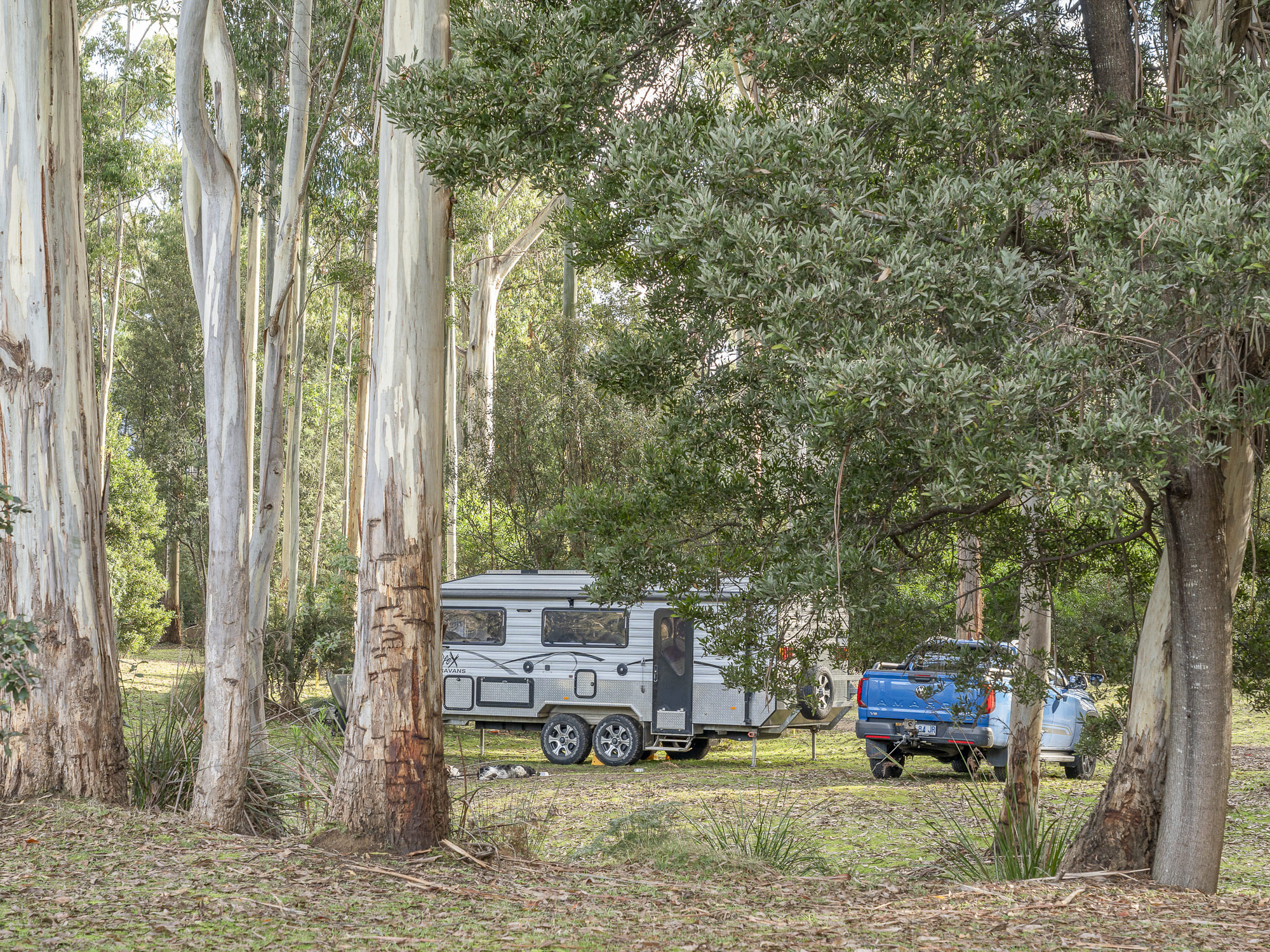 Lot 6 and 1322/1322 Lonnavale Road, Lonnavale, TAS, 7109 - Image 12