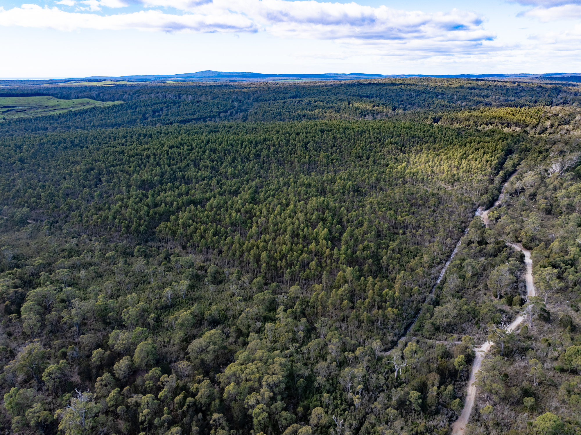 - Musk Vale Road, George Town, TAS, 7253 - Image 4