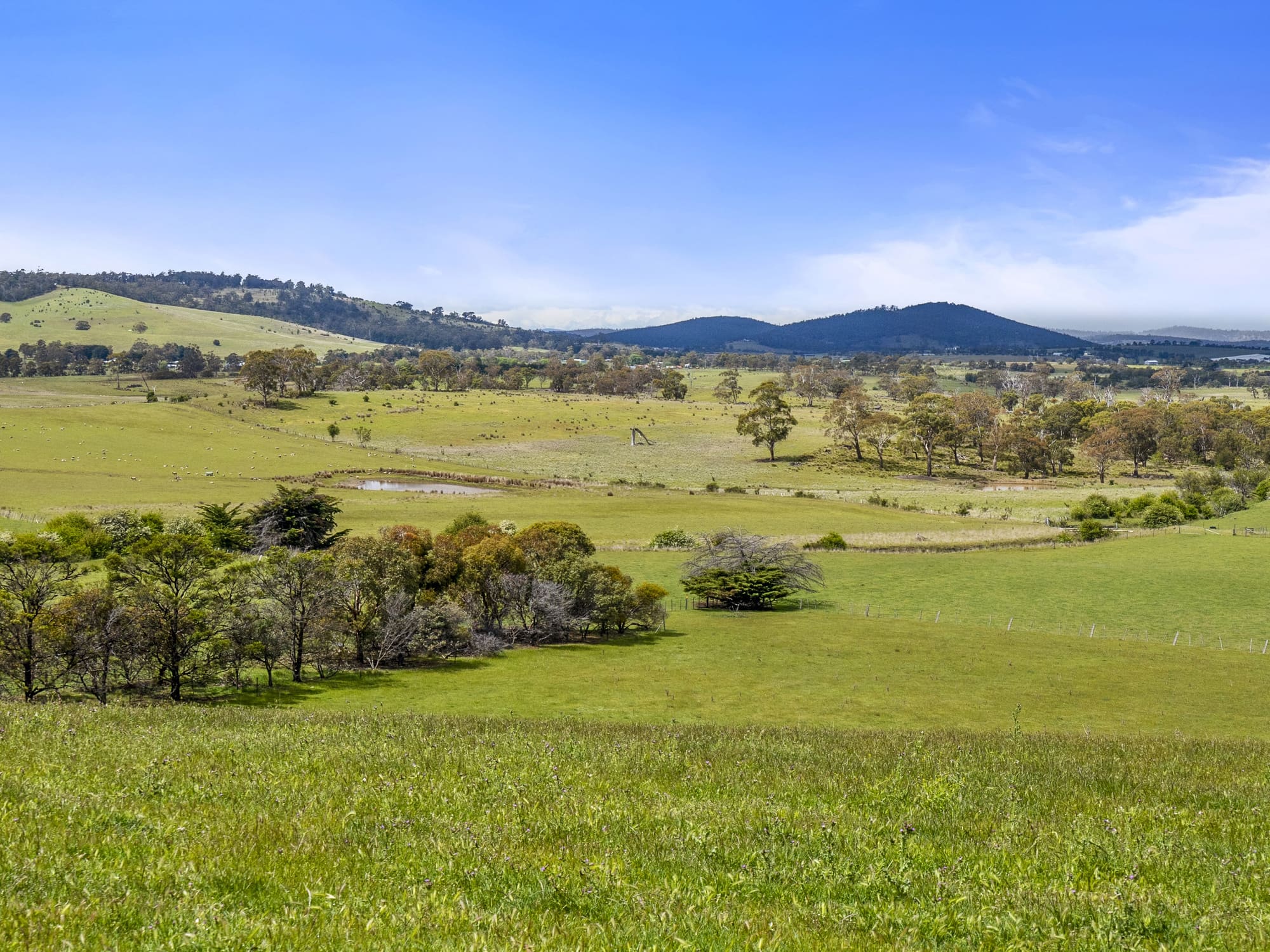 PID 2673110 Leprena Road, Orielton, TAS, 7172 - Image 5