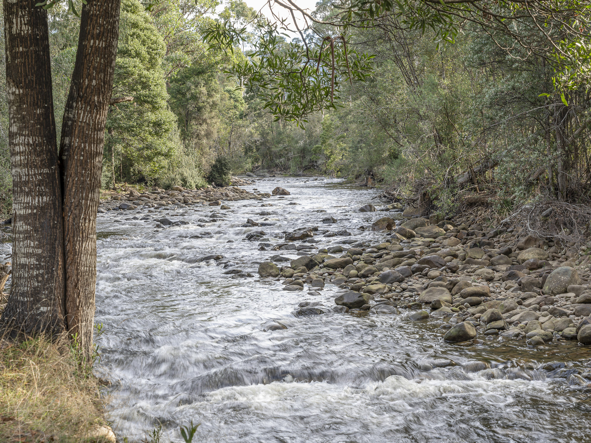 Lot 6 and 1322/1322 Lonnavale Road, Lonnavale, TAS, 7109 - Image 20