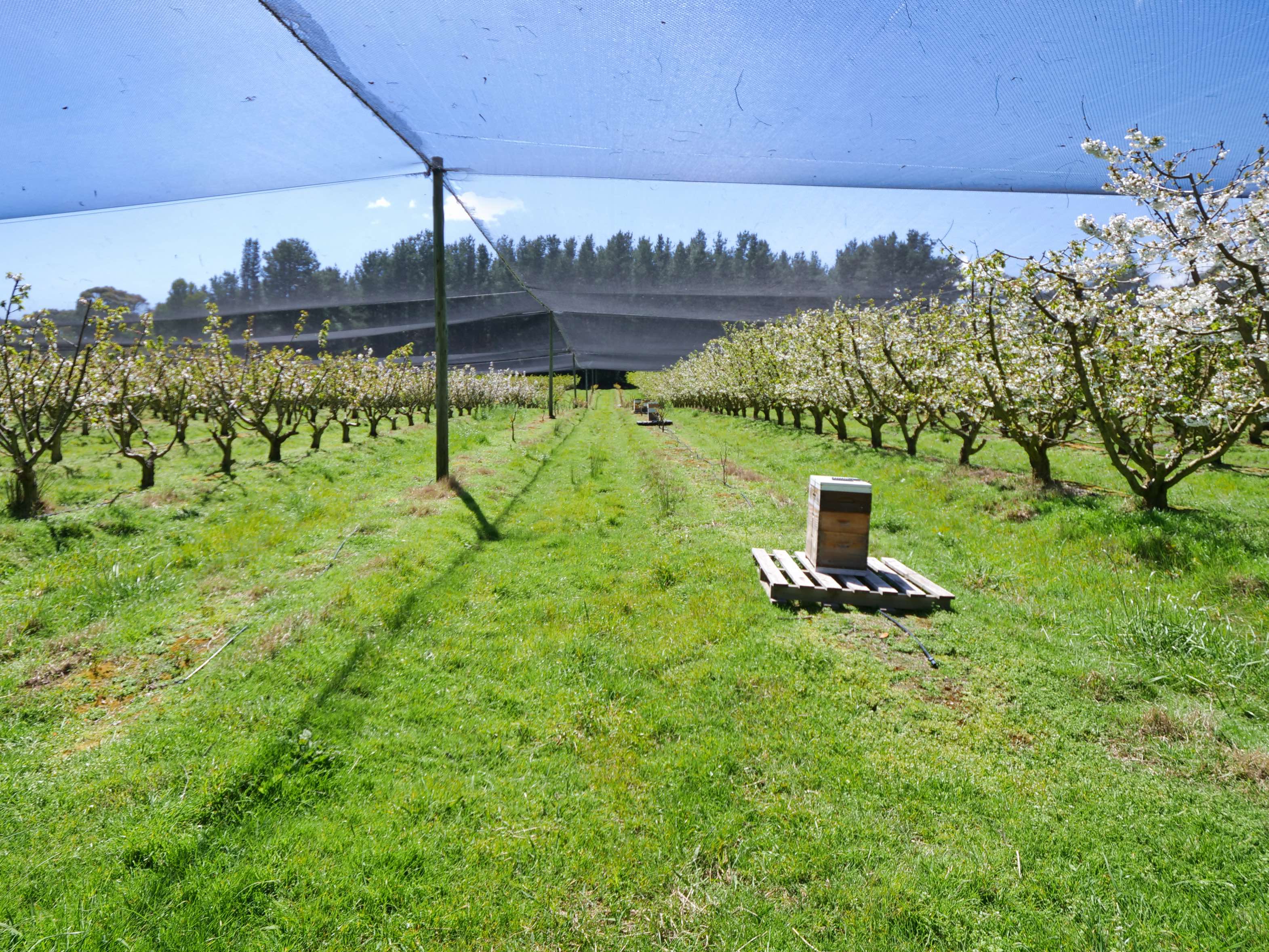 4378 West Tamar Highway, Beauty Point, TAS, 7270 - Image 9