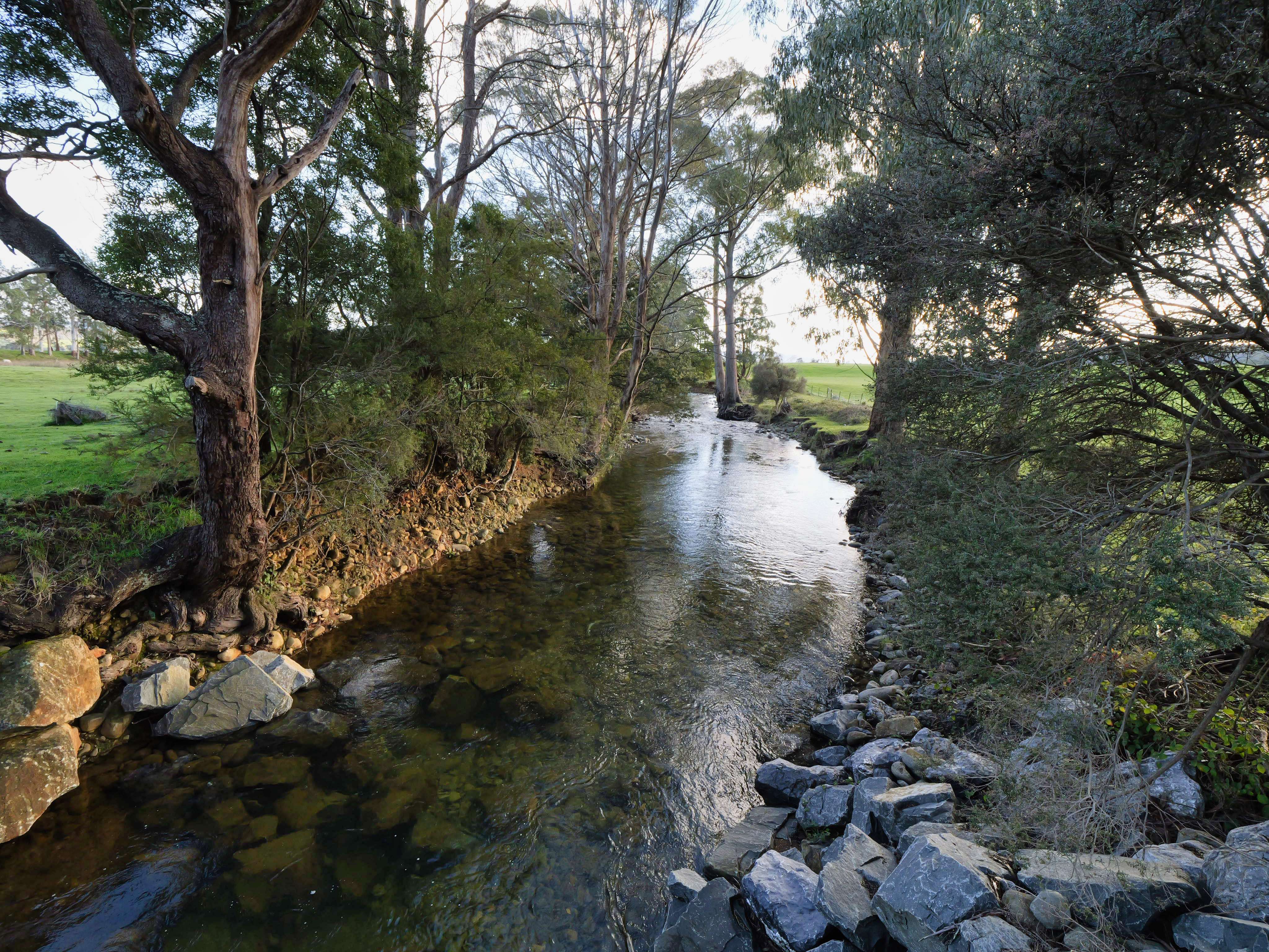 1037 & 1044 Dairy Plains Road, Western Creek, TAS, 7304 - Image 9