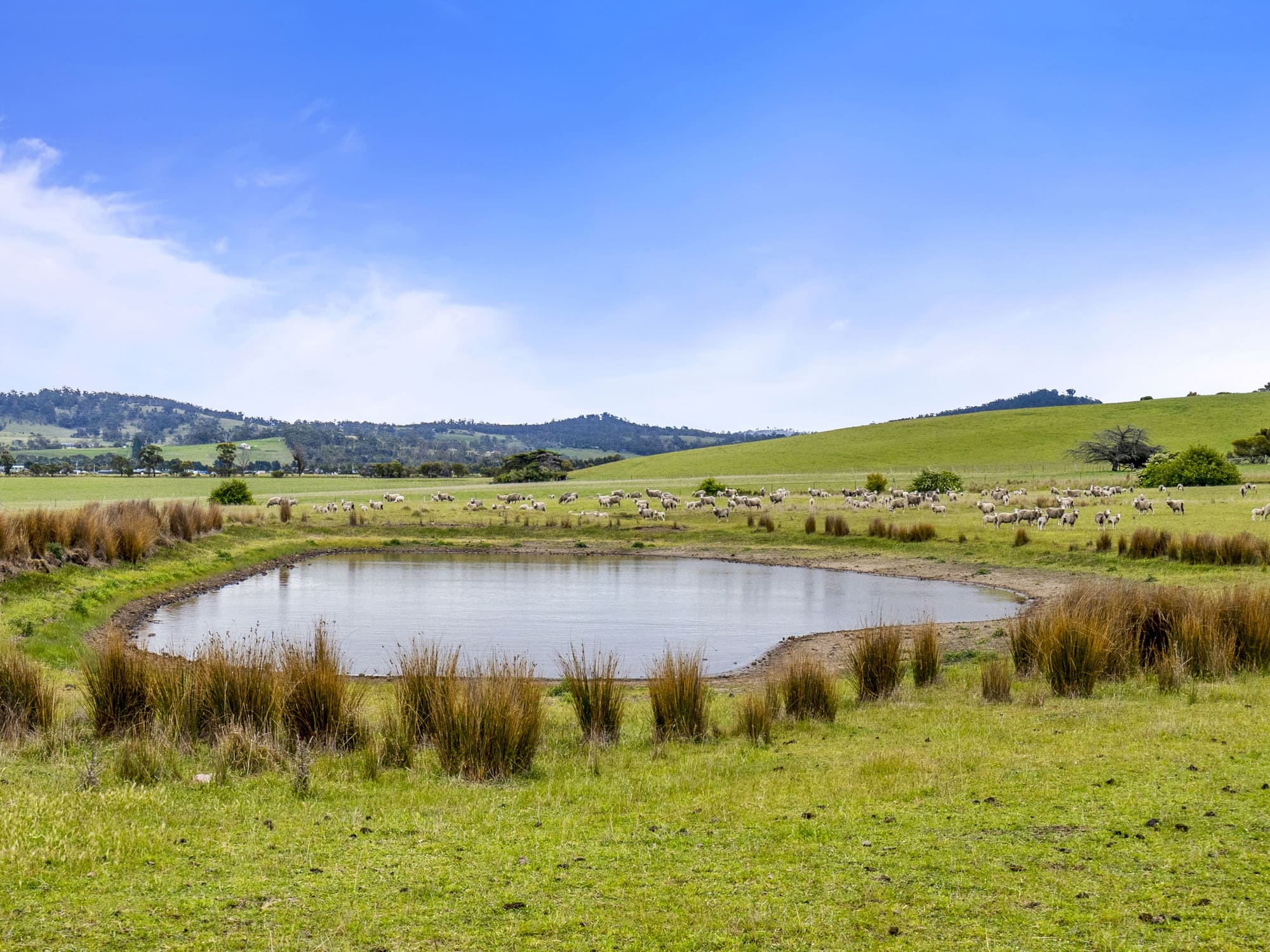 PID 2673110 Leprena Road, Orielton, TAS, 7172 - Image 8