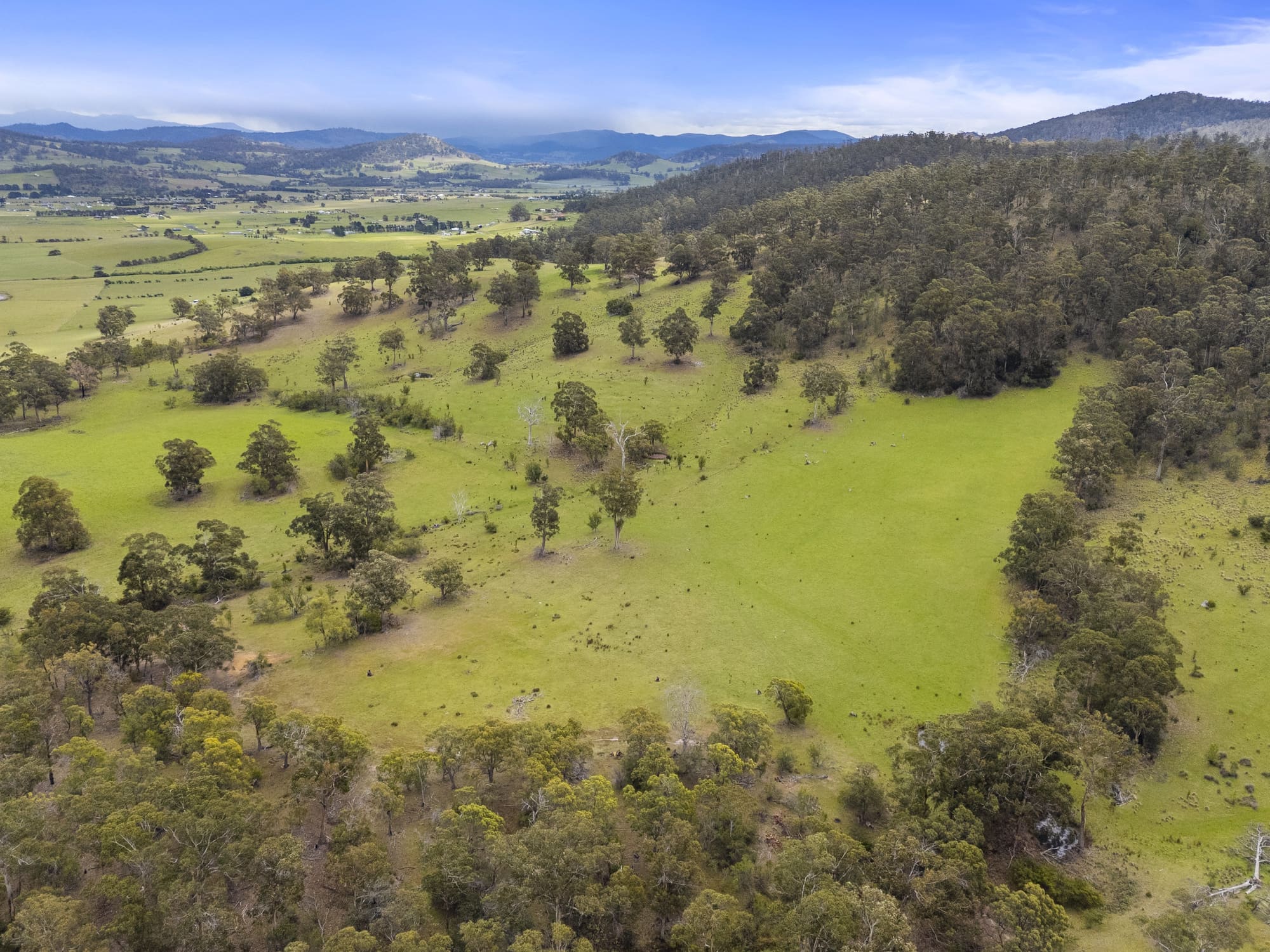 PID 2673110 Leprena Road, Orielton, TAS, 7172 - Image 10