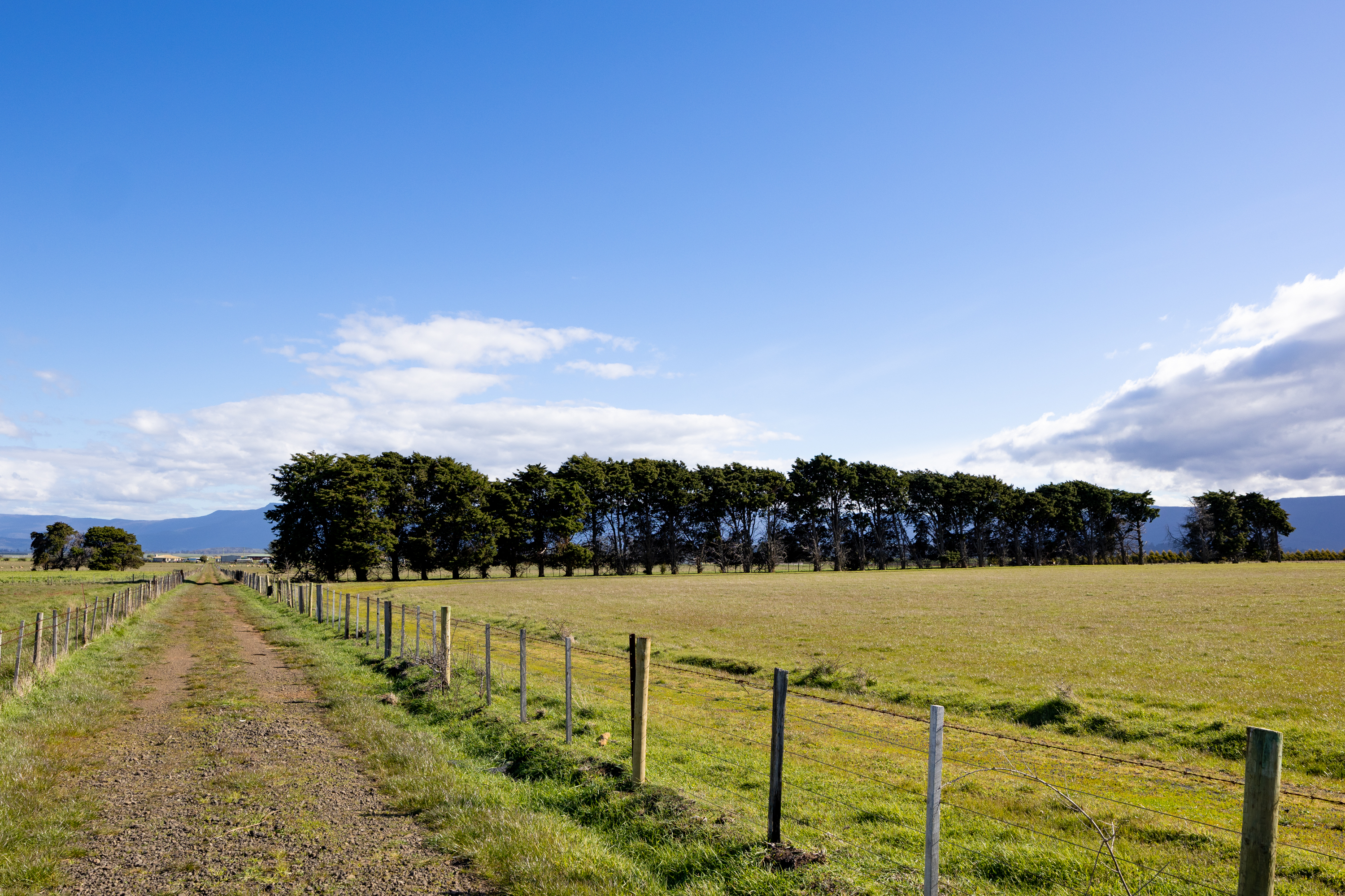 474 Green Rises Road, Cressy, TAS, 7302 - Image 6