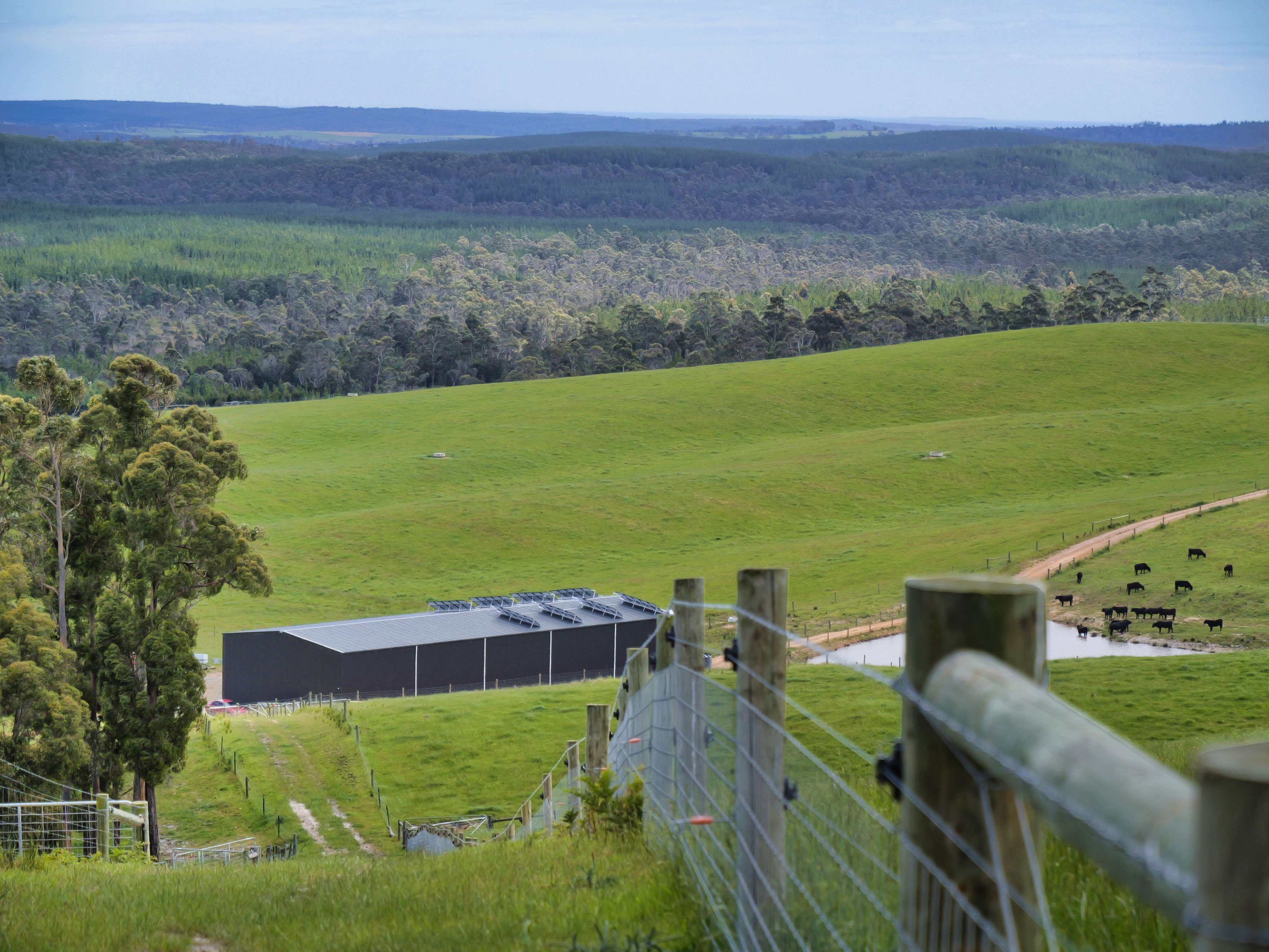 62 Bridport Back Road, Nabowla, TAS, 7260 - Image 11